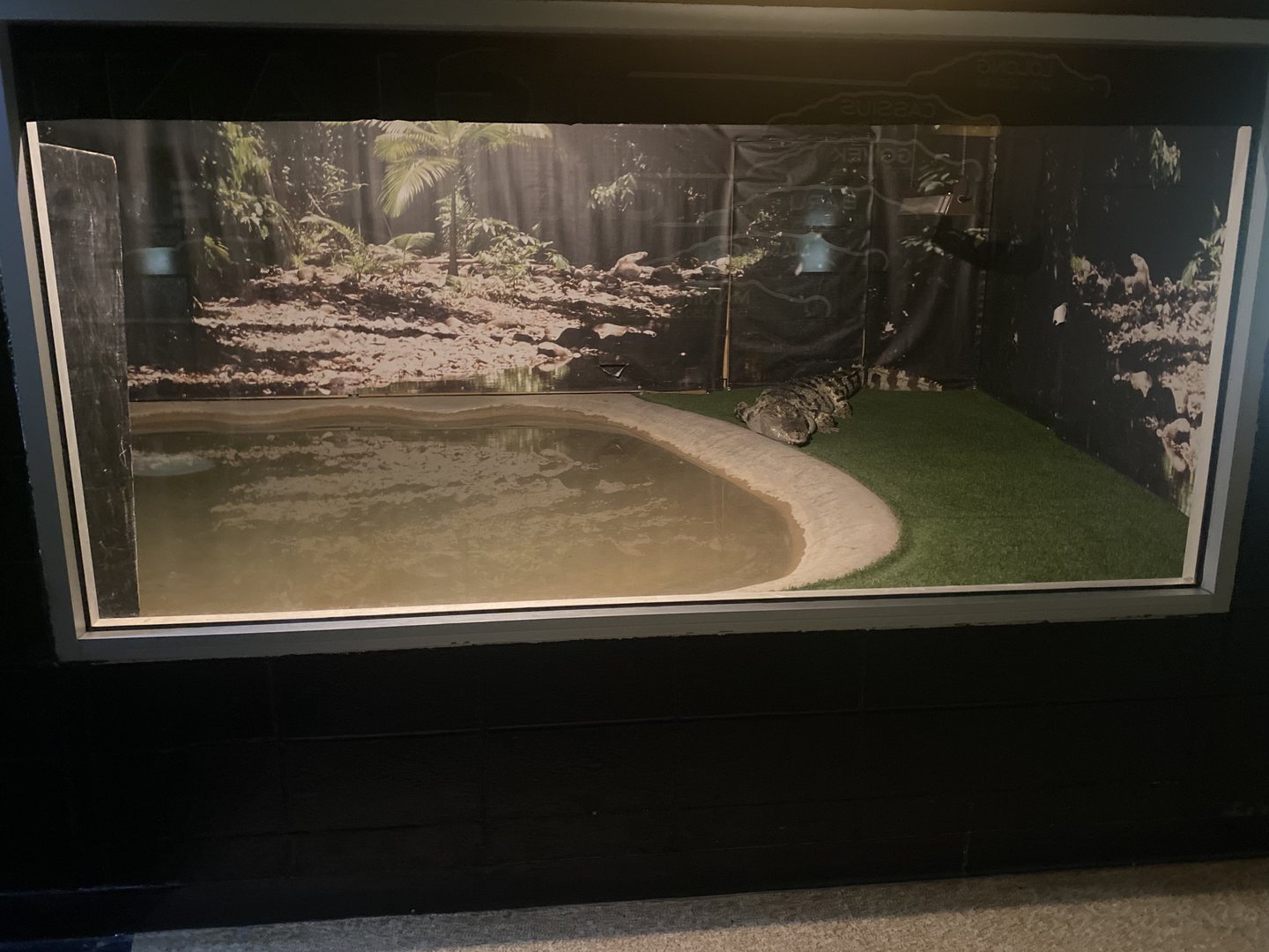 Siamese Crocodile Exhibit