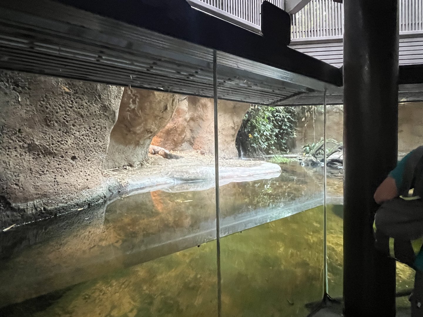 Siamese Crocodile Exhibit