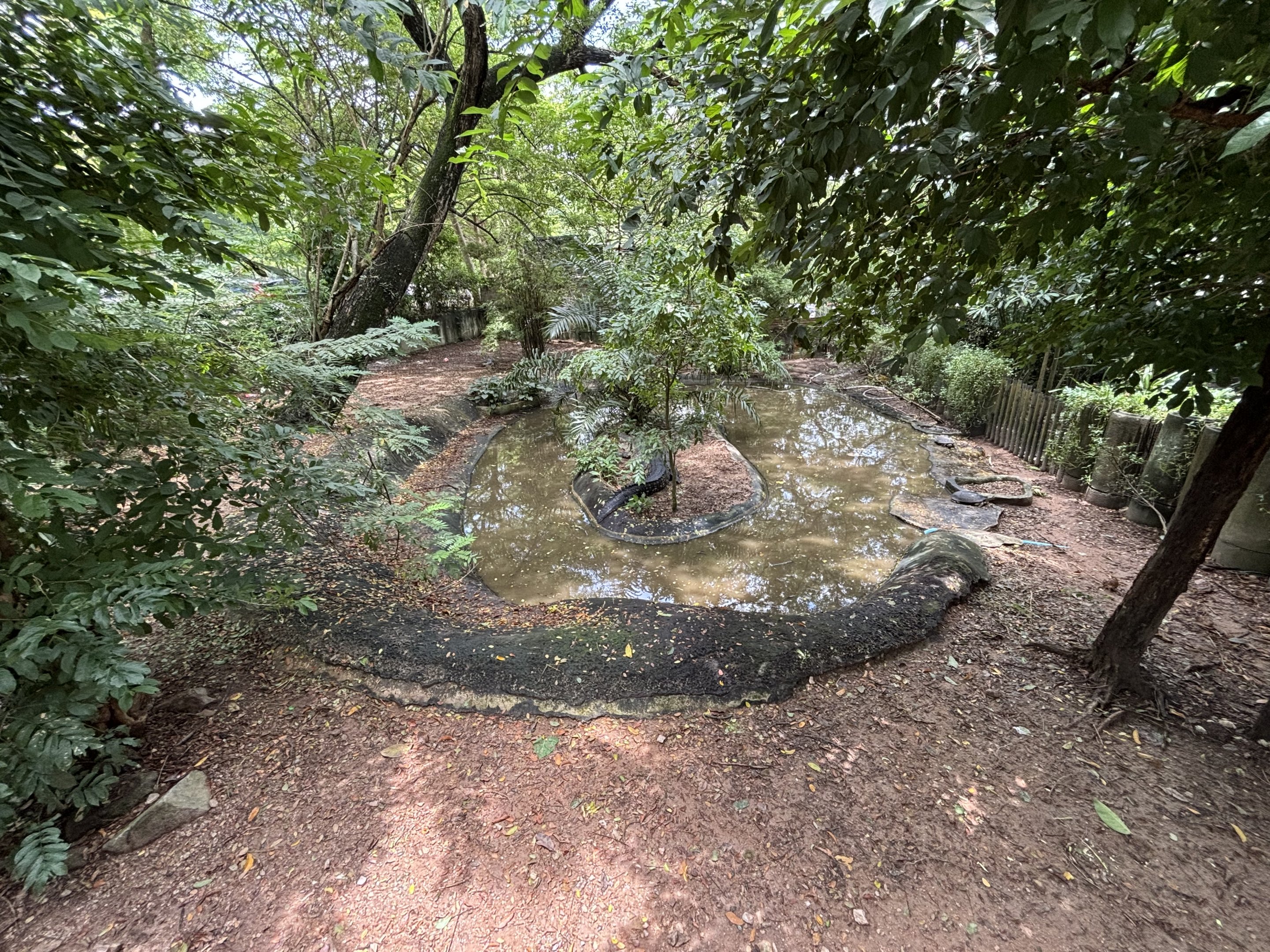 Siamese Crocodile Exhibit