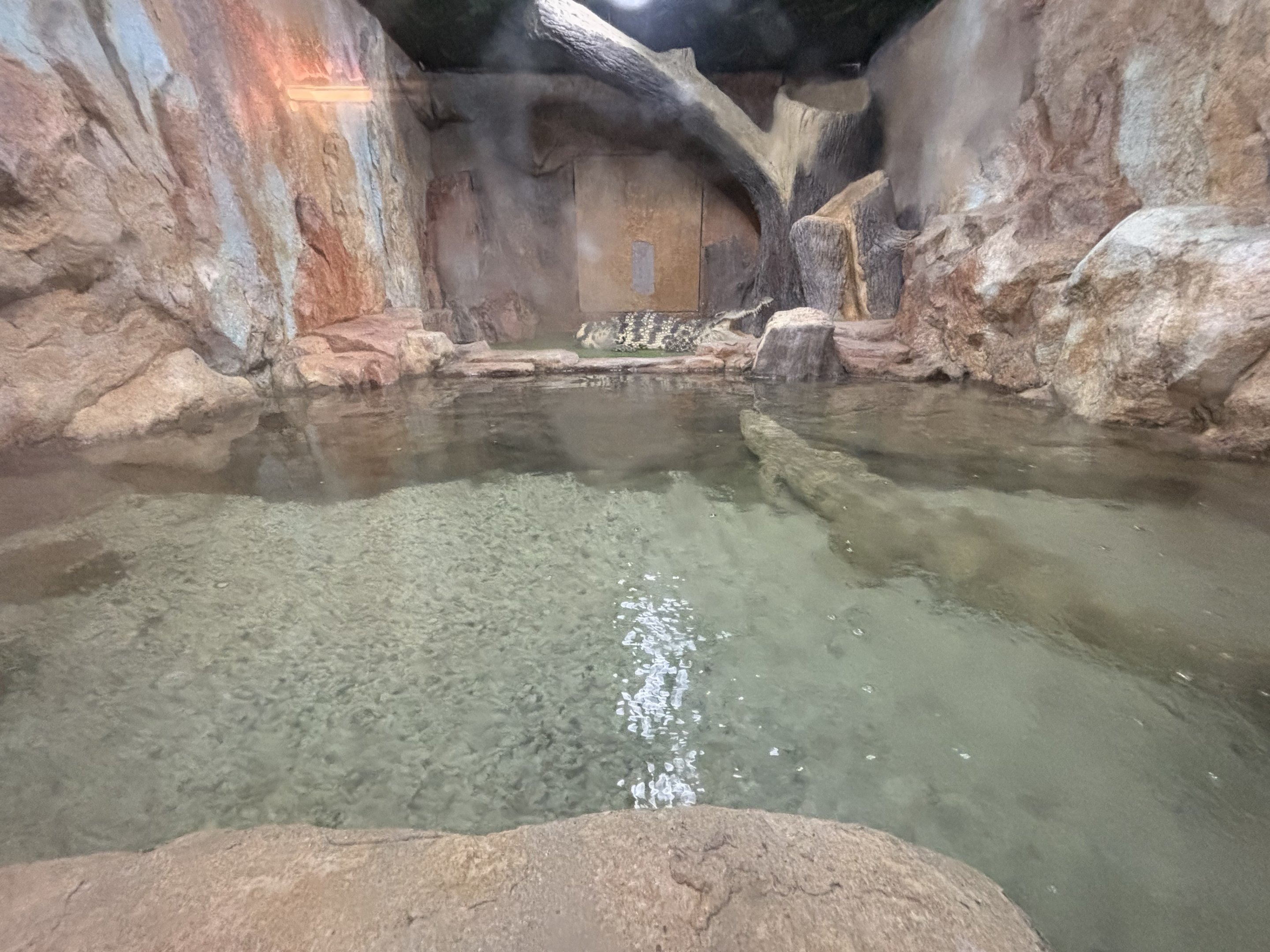 Siamese Crocodile Exhibit