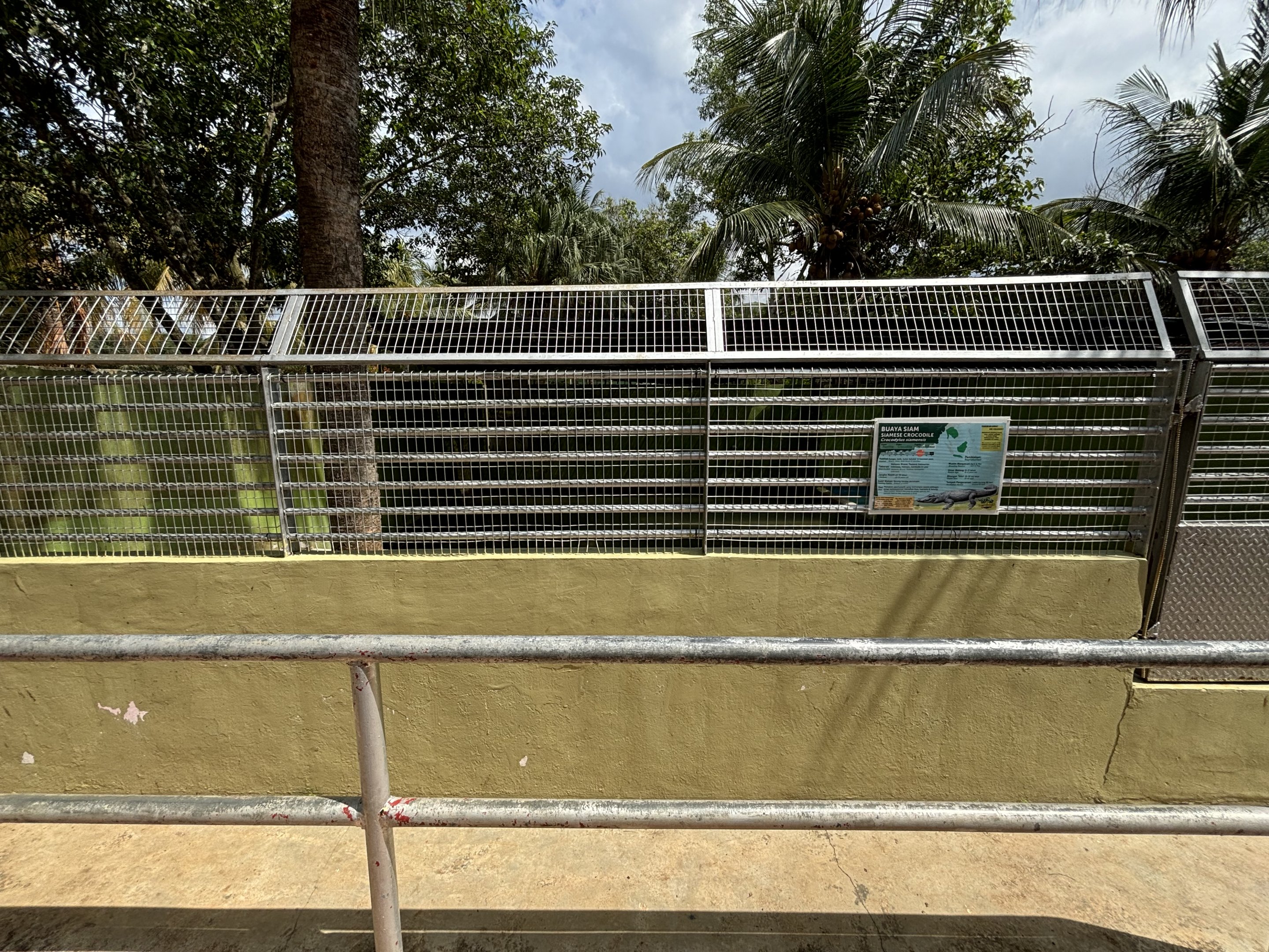 Siamese Crocodile Exhibit