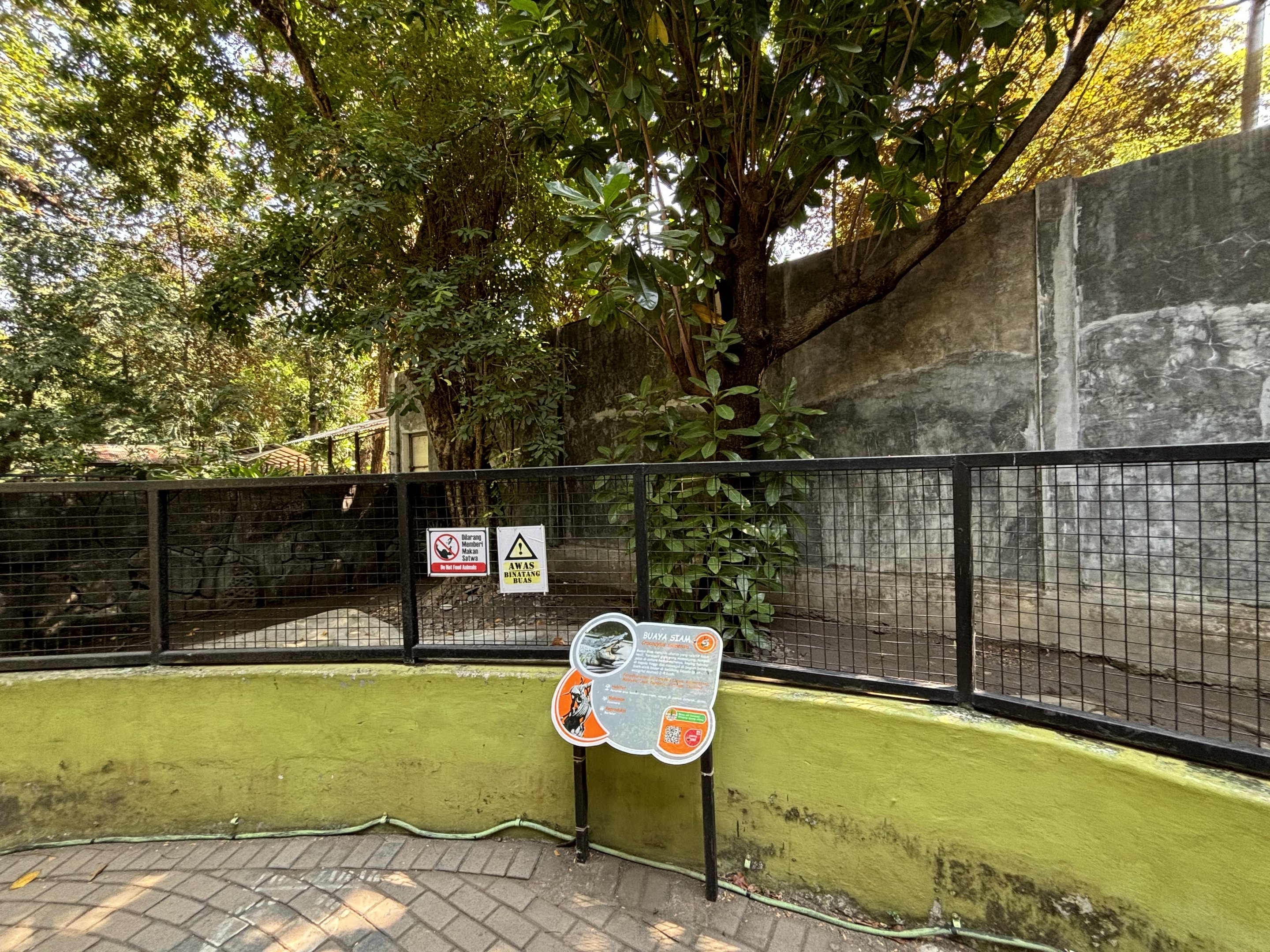Siamese Crocodile Exhibit