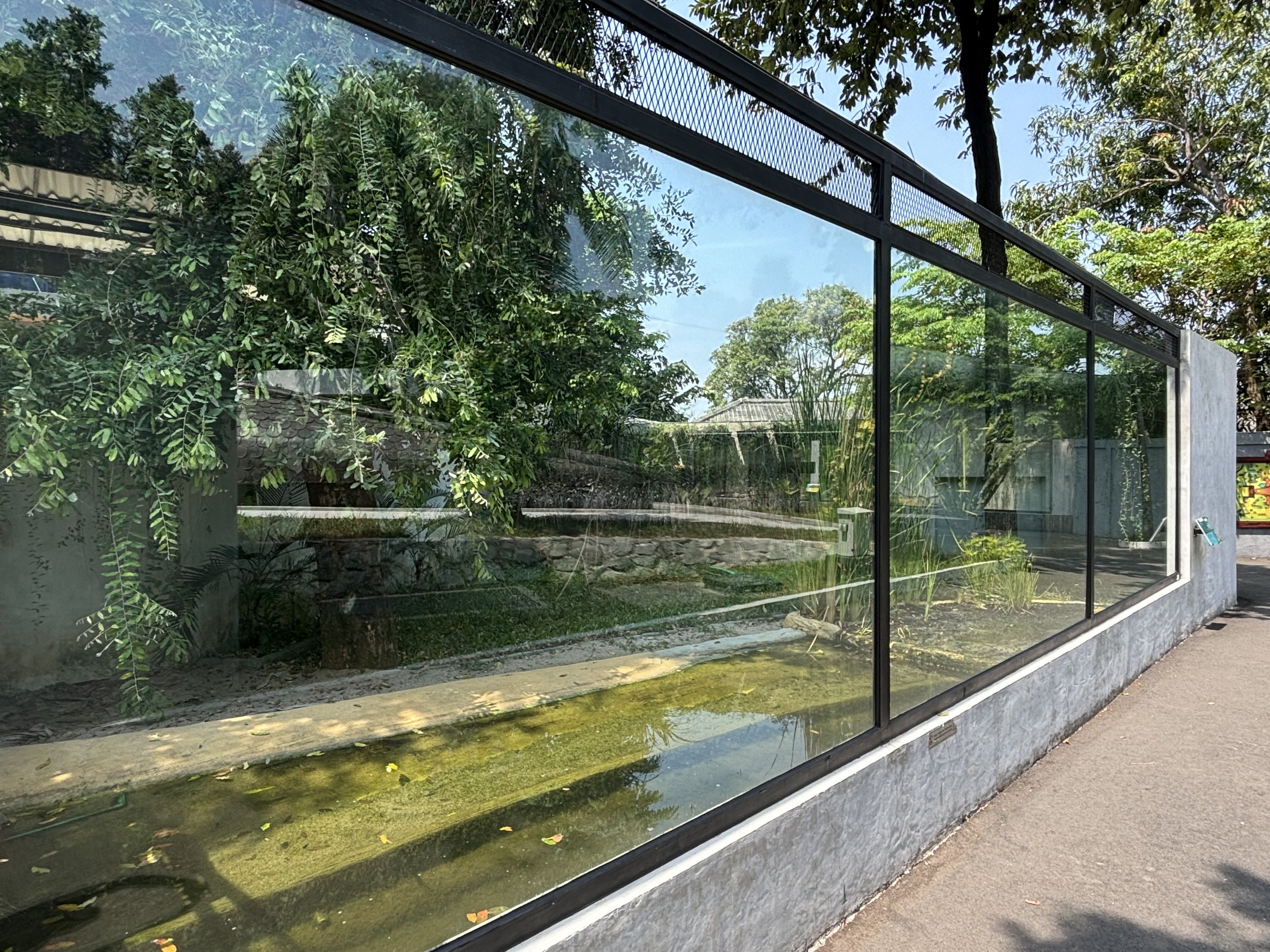 Siamese Crocodile Exhibit