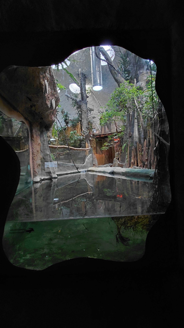 Siamese crocodile exhibit