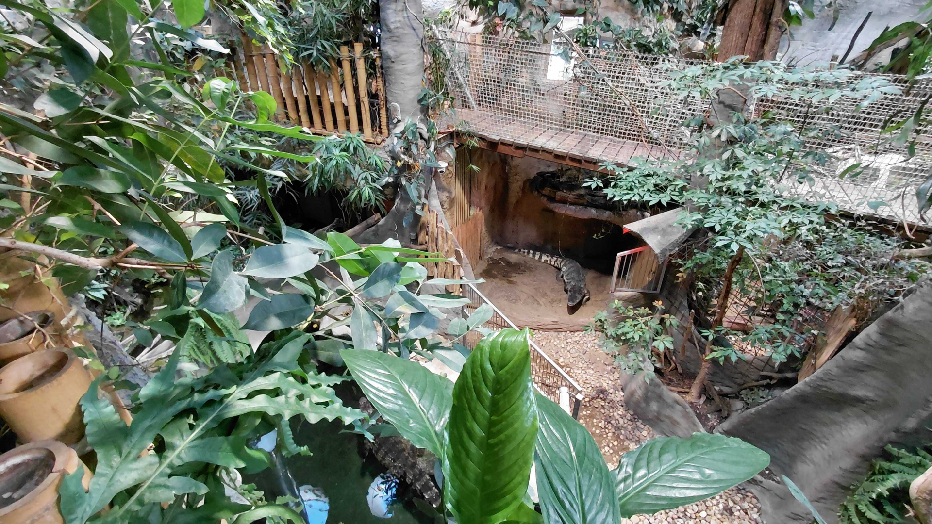 Siamese crocodile exhibit