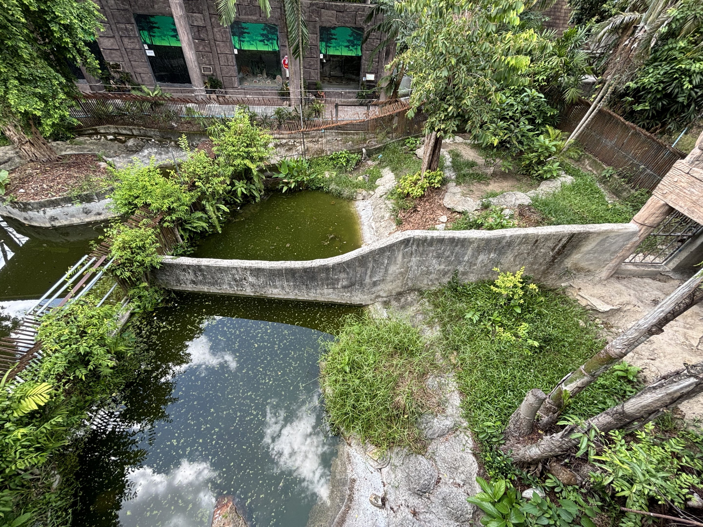 Siamese Crocodile Exhibits