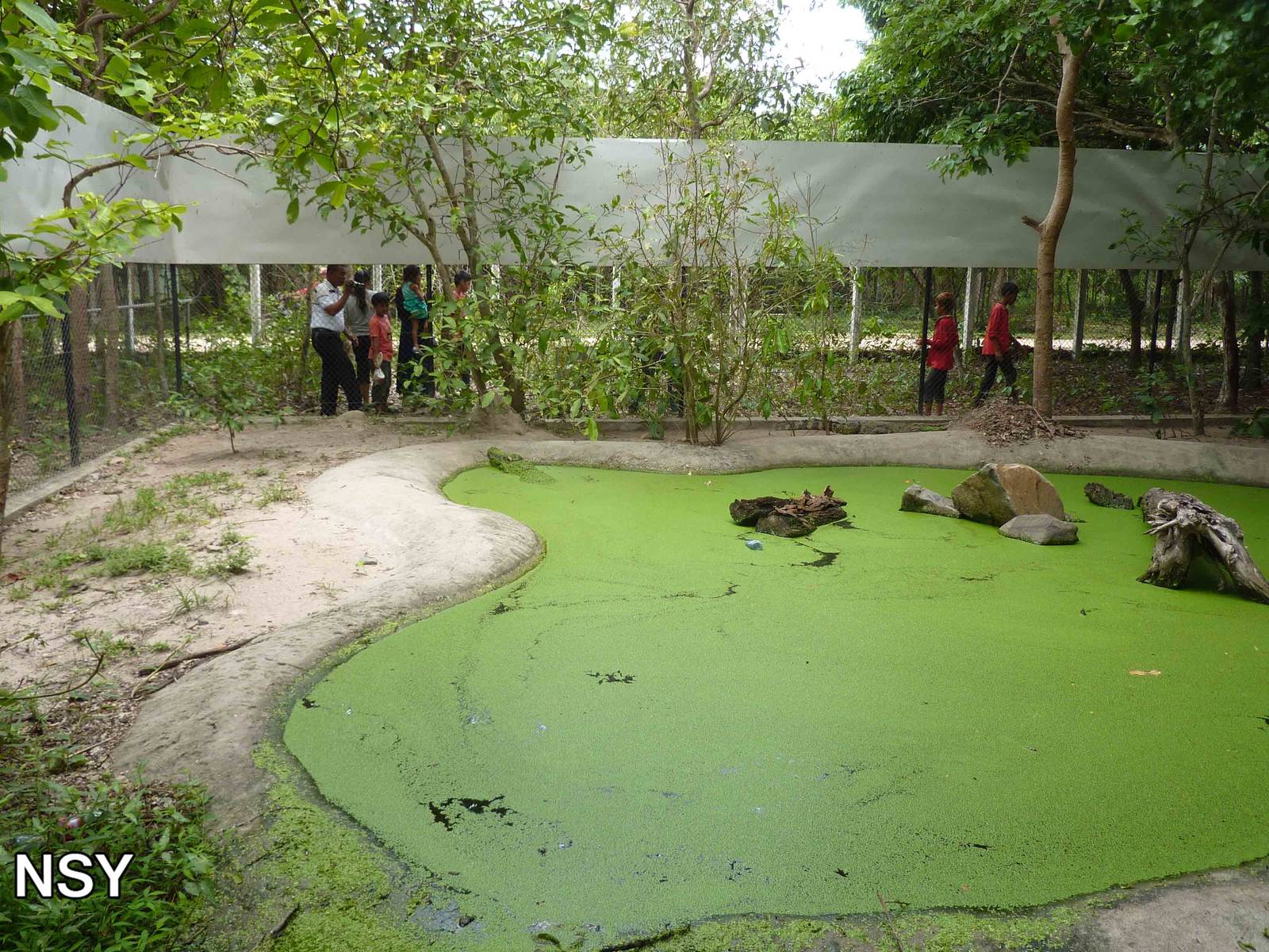 Siamese crocodile pool, May 2013.