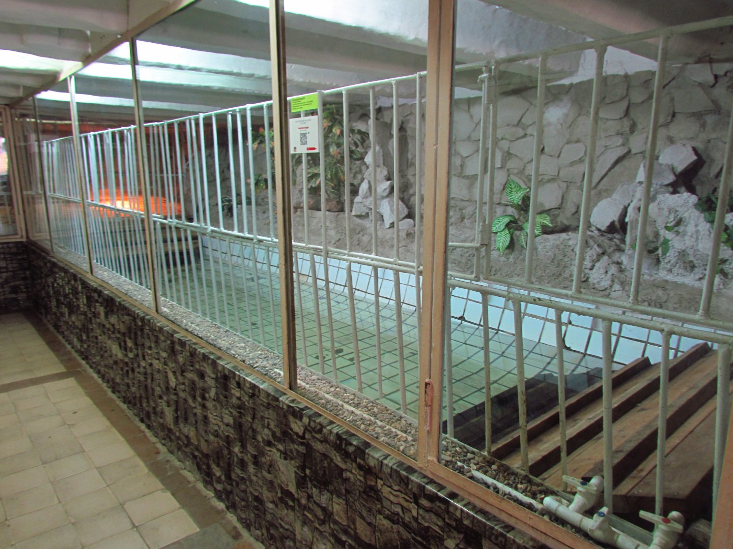 Siamese crocodile pool