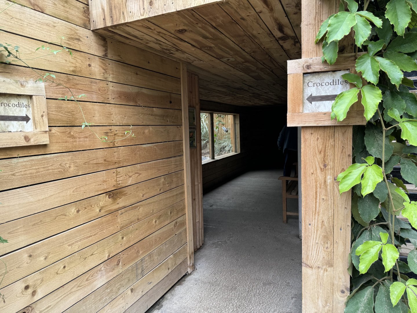 Siamese Crocodile Viewing Area at Woodside Wildlife Park (May 2024)