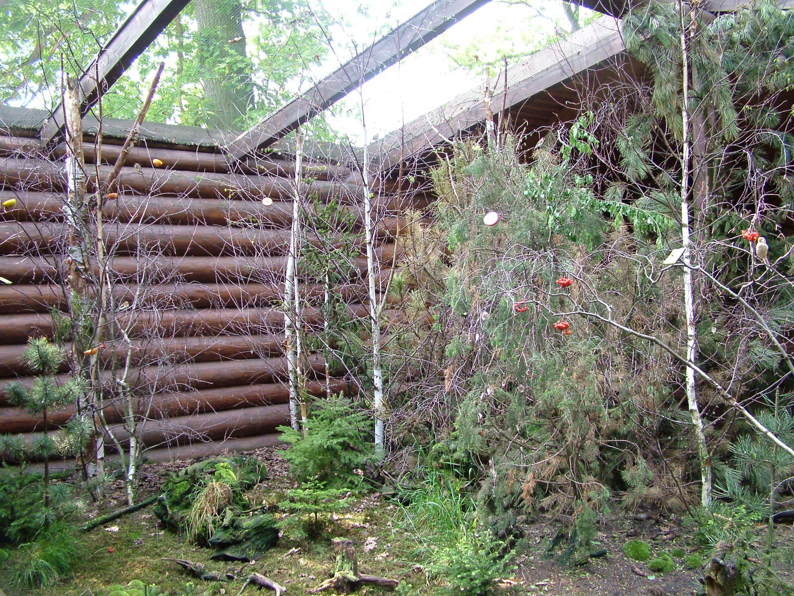 Siberian Aviary at Plzen, 25/05/10