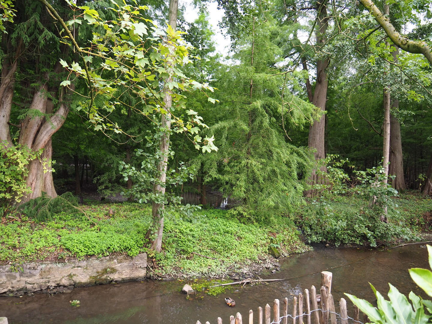 Siberian crane exhibit, 2019-10-04