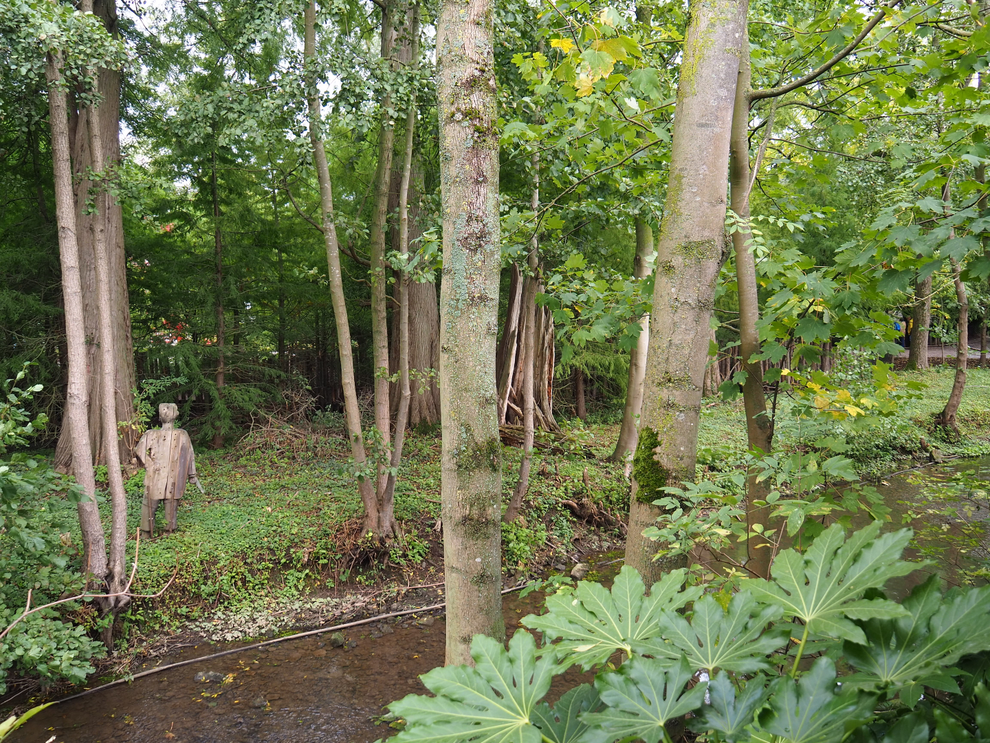 Siberian crane exhibit, 2019-10-04
