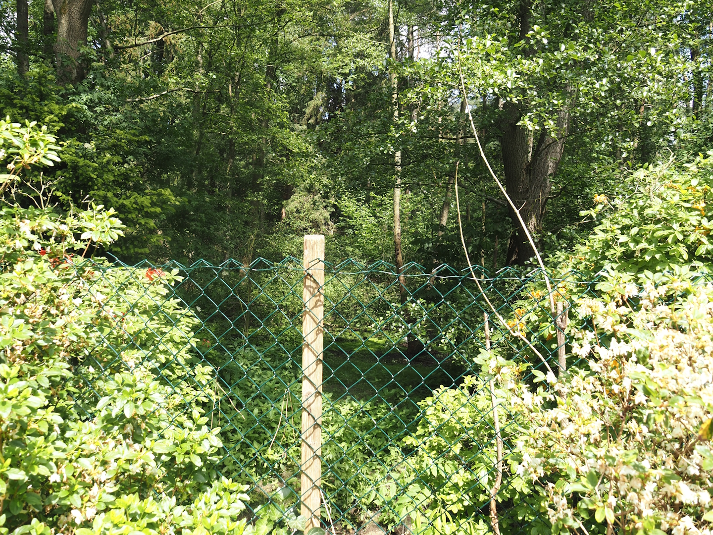 Siberian crane exhibit, 2024-05-21