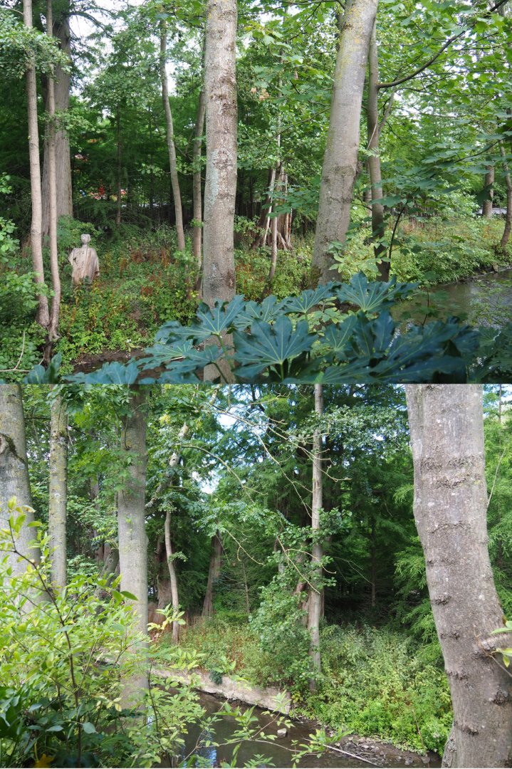 Siberian crane exhibit seen from the koala house, 2020-09-02