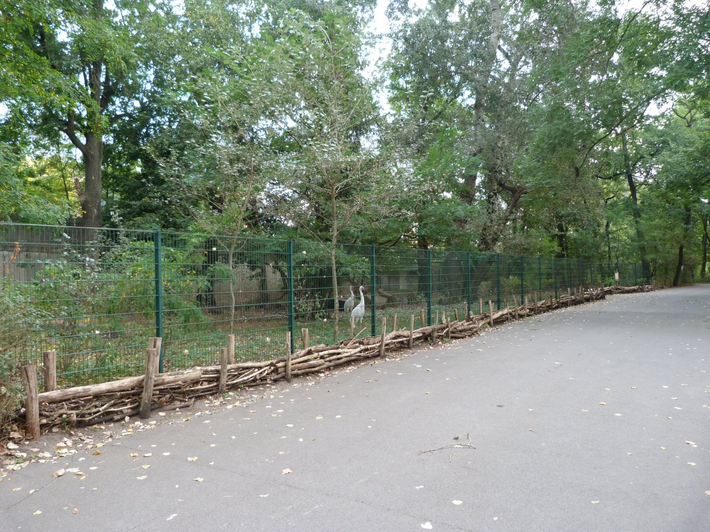 Siberian crane exhibit -Tierpark Berlin (2024)