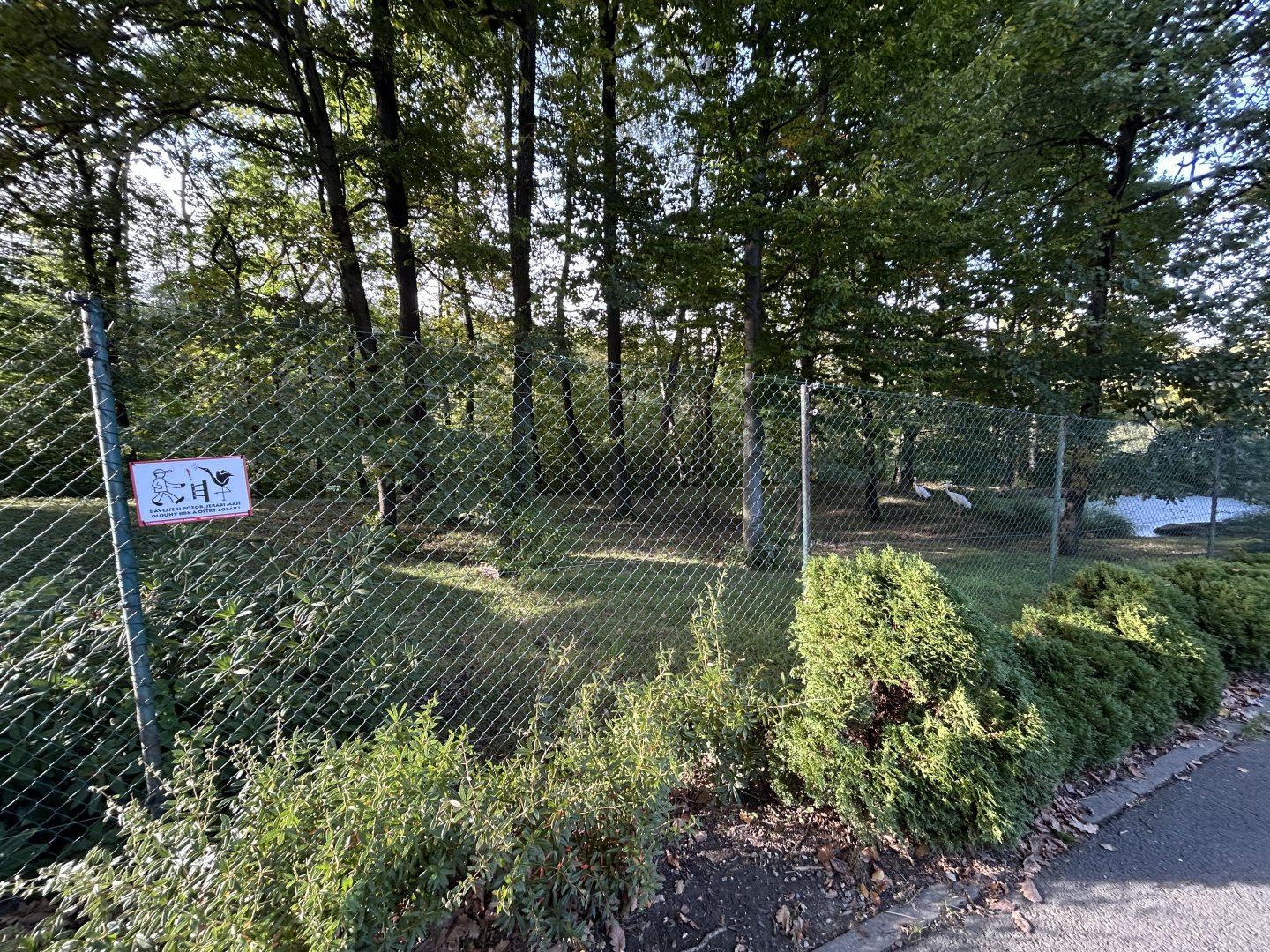 Siberian Crane Exhibit