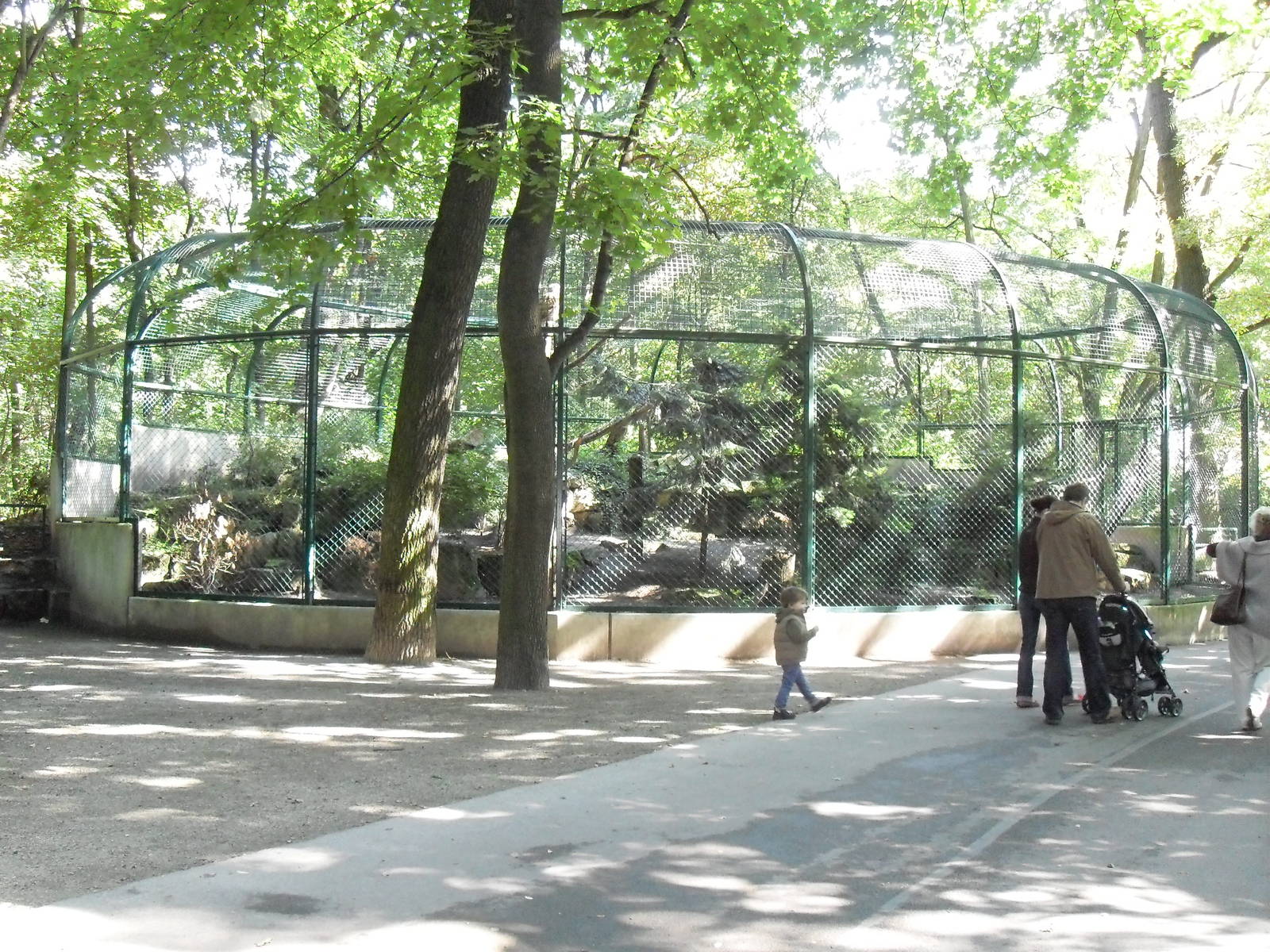 siberian eagle owl aviary 050910