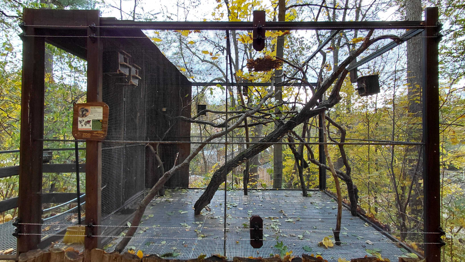 Siberian flying squirrel exhibit