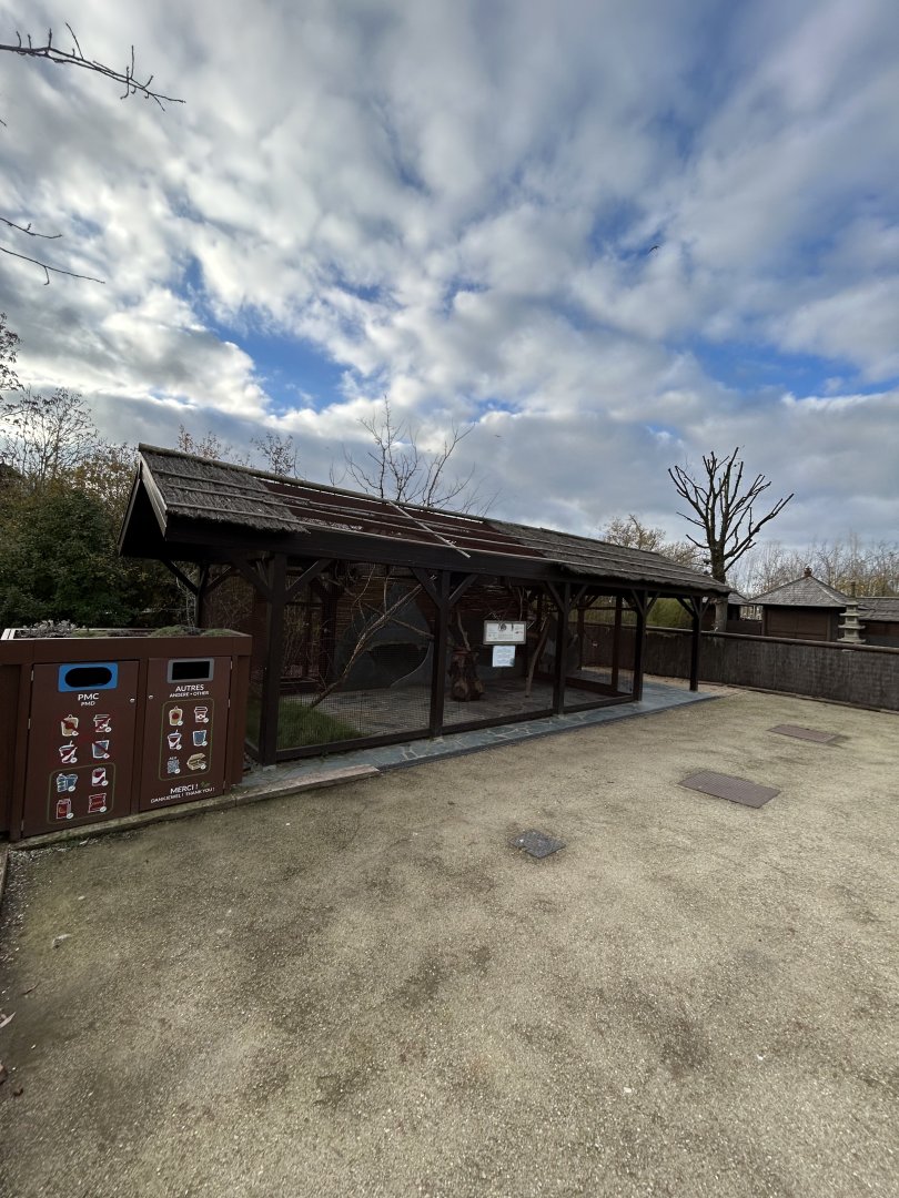 Siberian flying squirrel exhibit