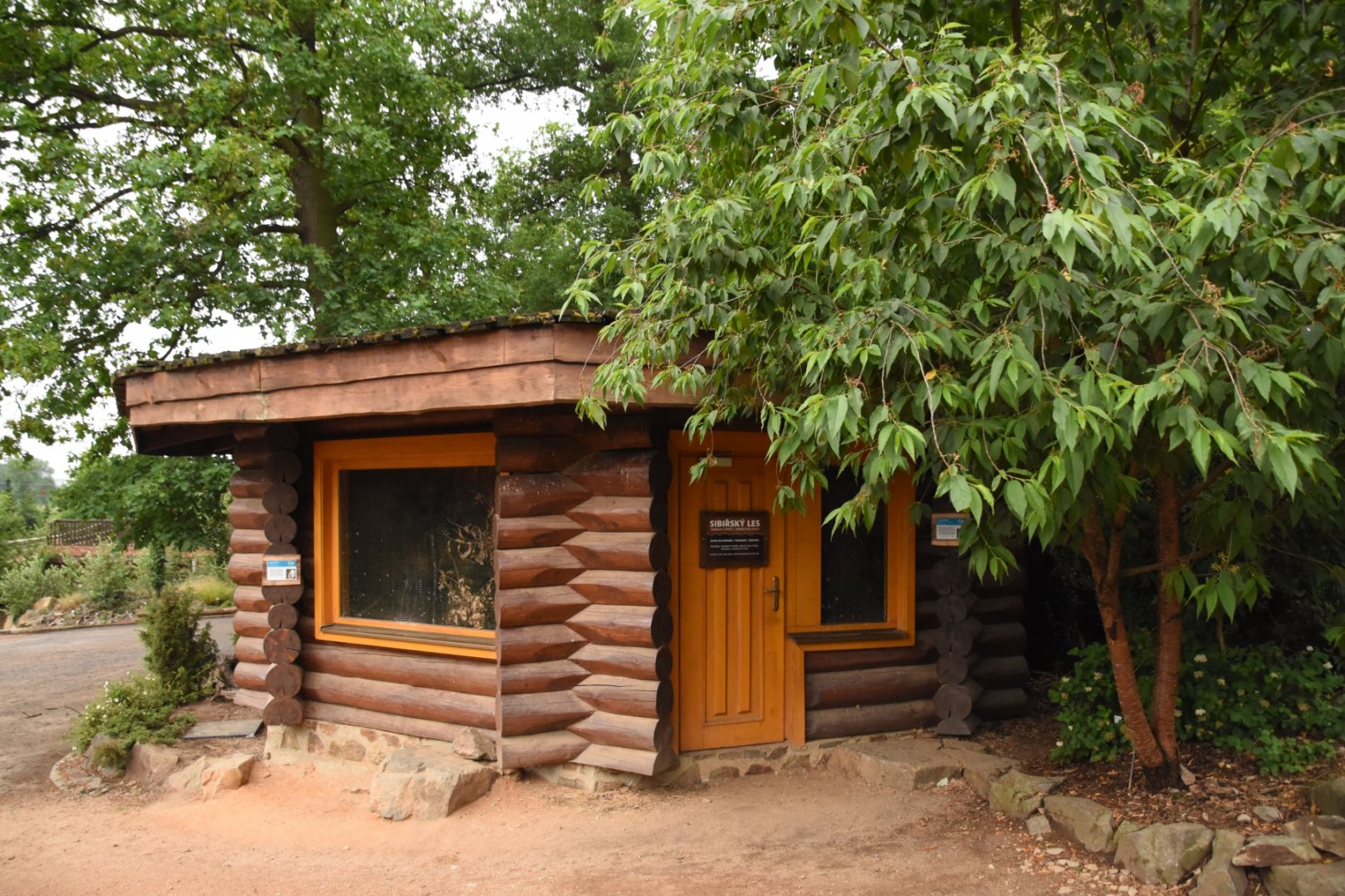 Siberian forest aviary and barn owls