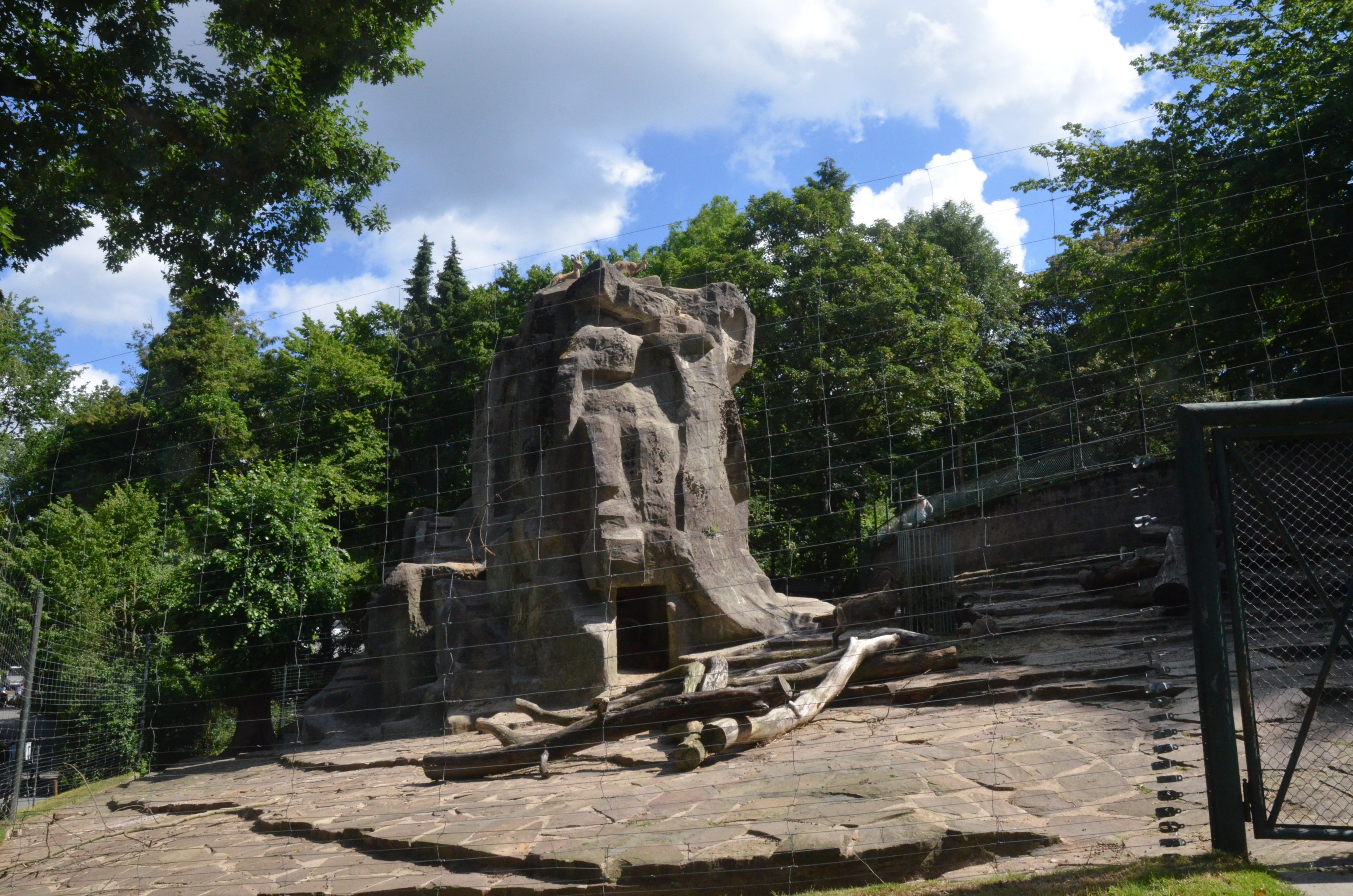 Siberian Ibex Enclosure at Wuppertal, 16/06/19