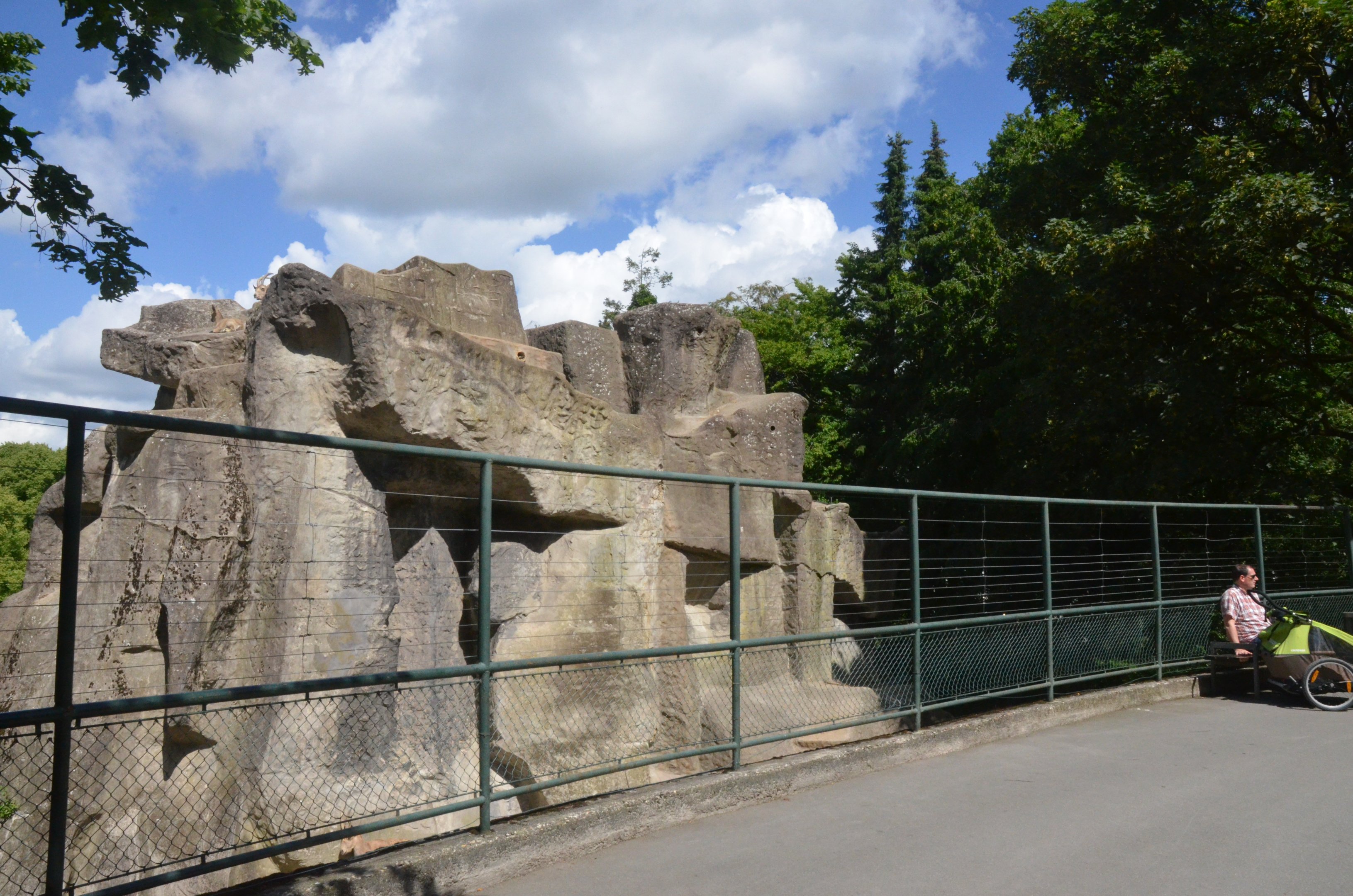 Siberian Ibex Enclosure at Wuppertal, 16/06/19