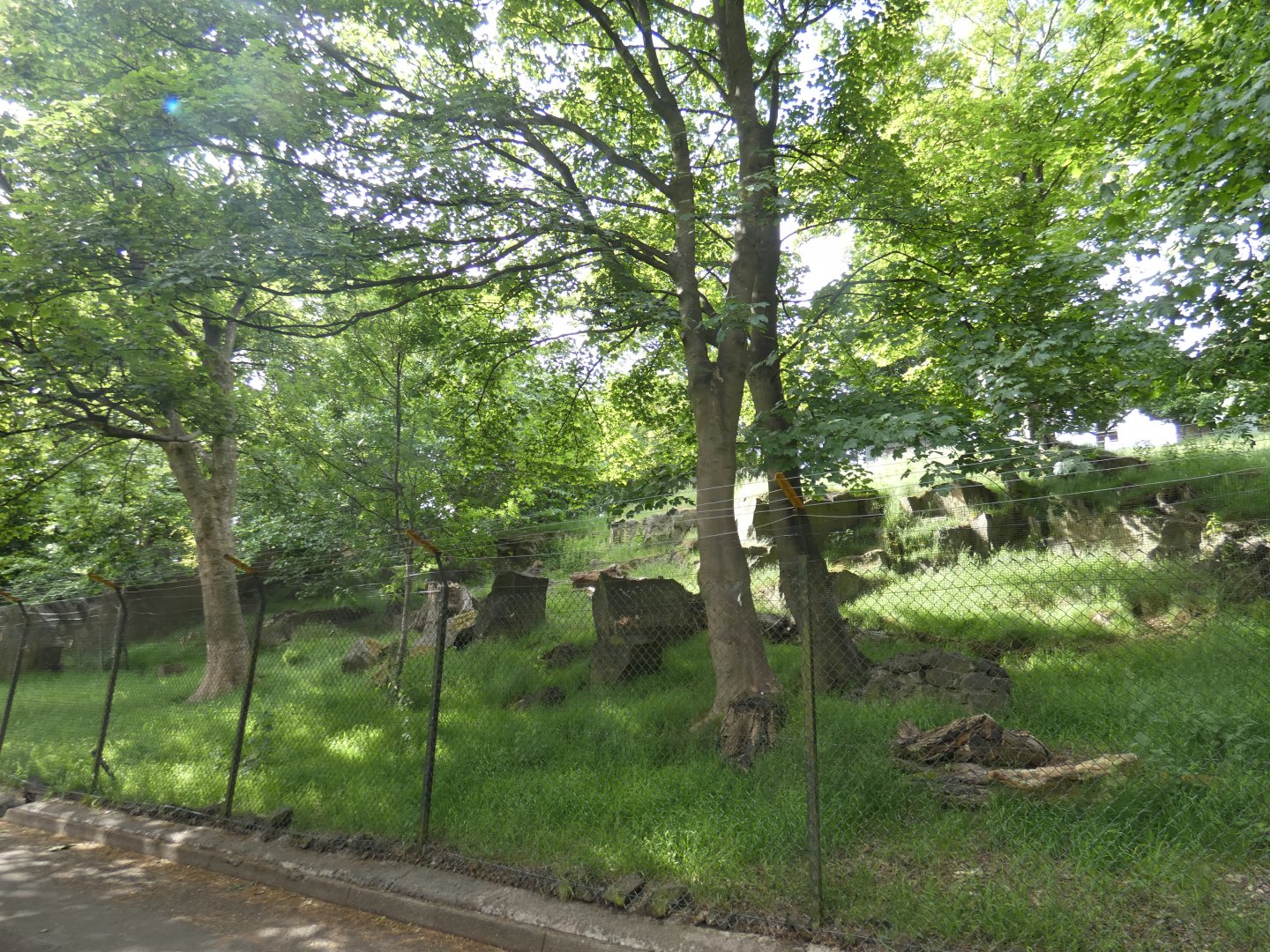 Siberian musk deer and Visayan spotted deer enclosure