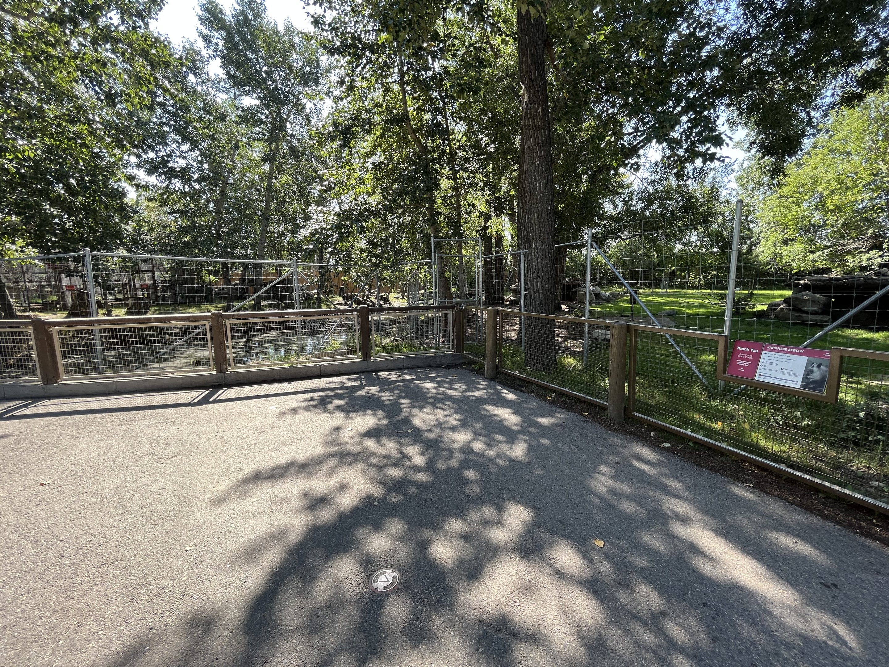 Siberian Musk Deer + Japanese Serow Exhibits