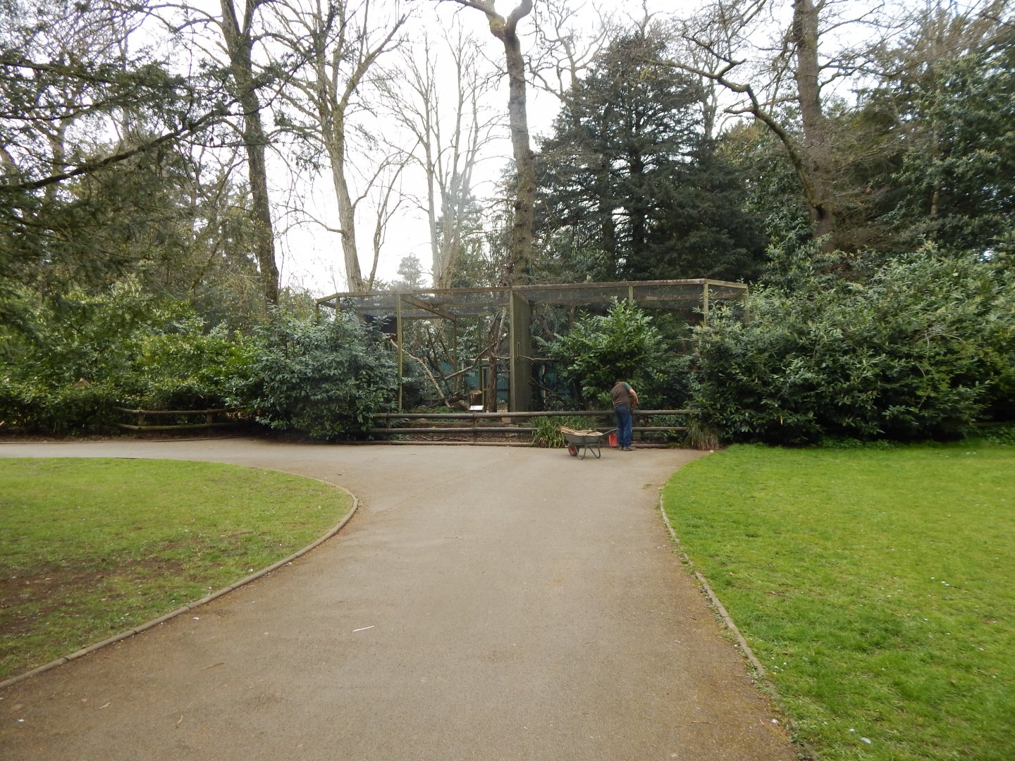 Siberian Pallas cat enclosure 210421