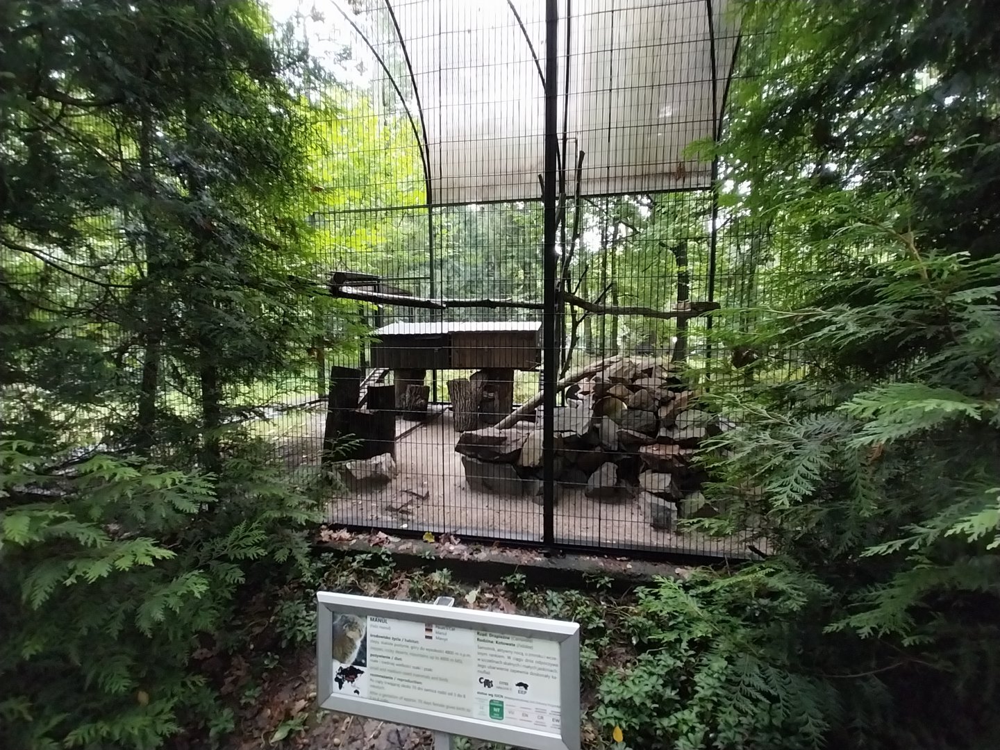 Siberian Pallas' cat enclosure