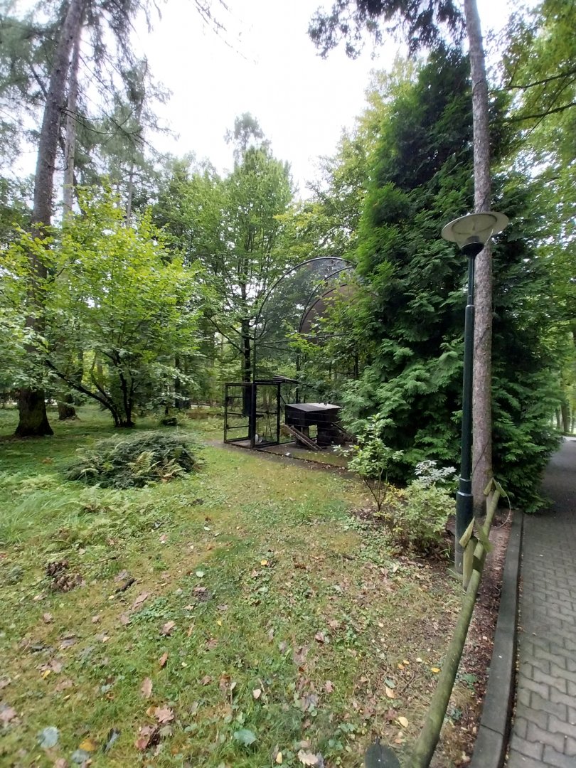 Siberian Pallas' cat enclosure