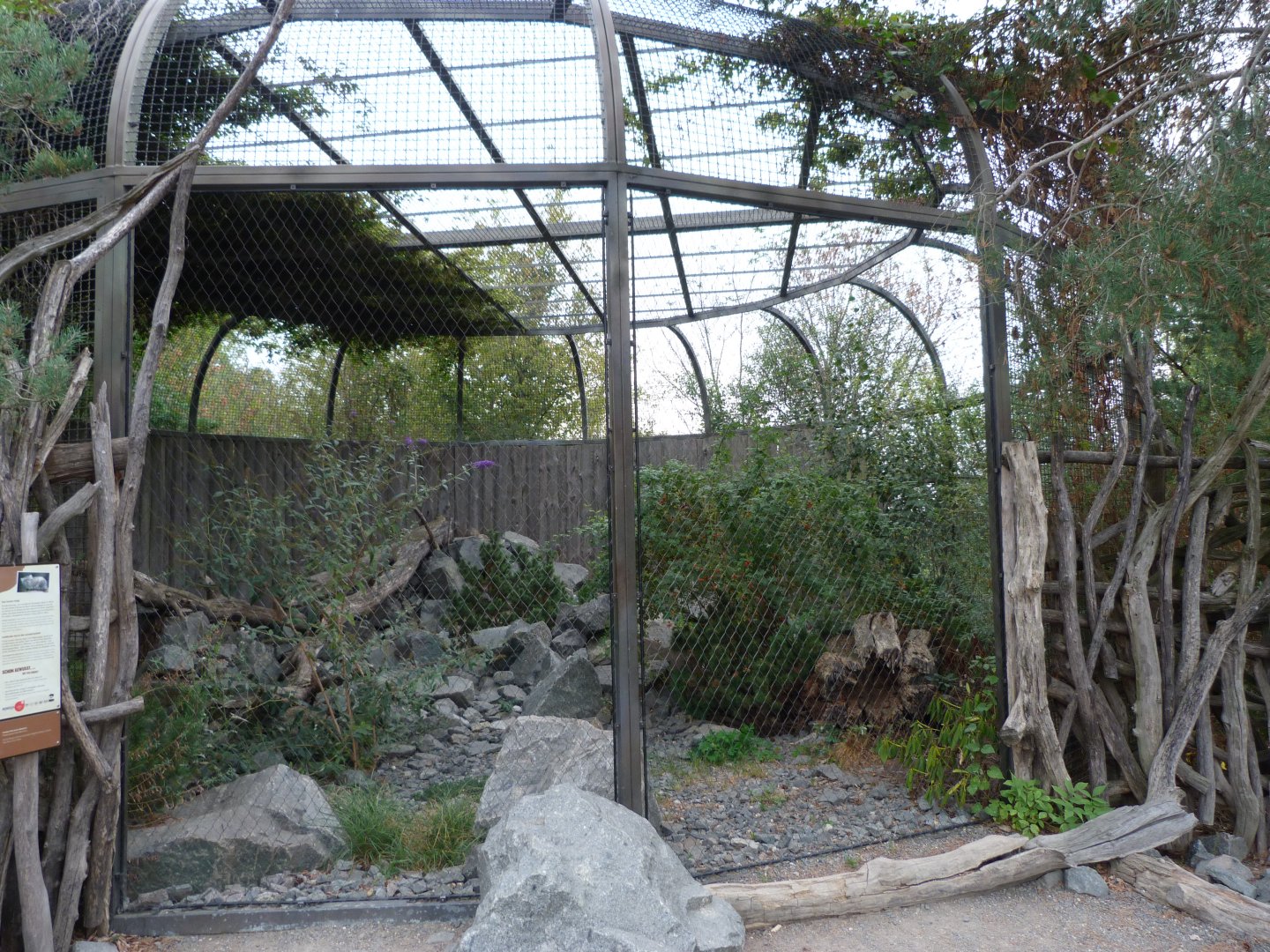 Siberian pallas cat exhibit -Tierpark Berlin (2024)
