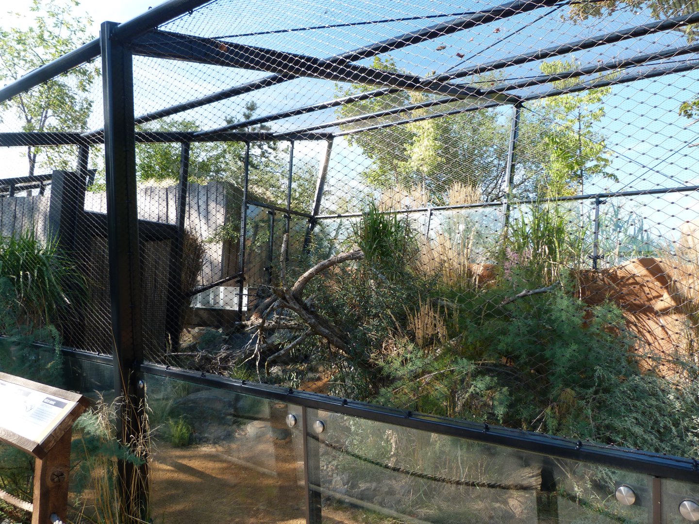 Siberian Pallas' cat exhibit -Zoo Praha (2025)