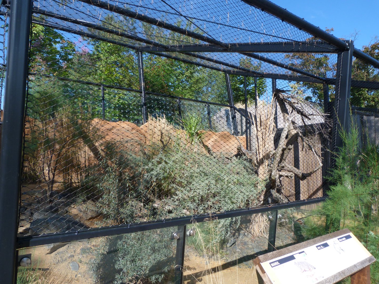Siberian Pallas' cat exhibit -Zoo Praha (2025)