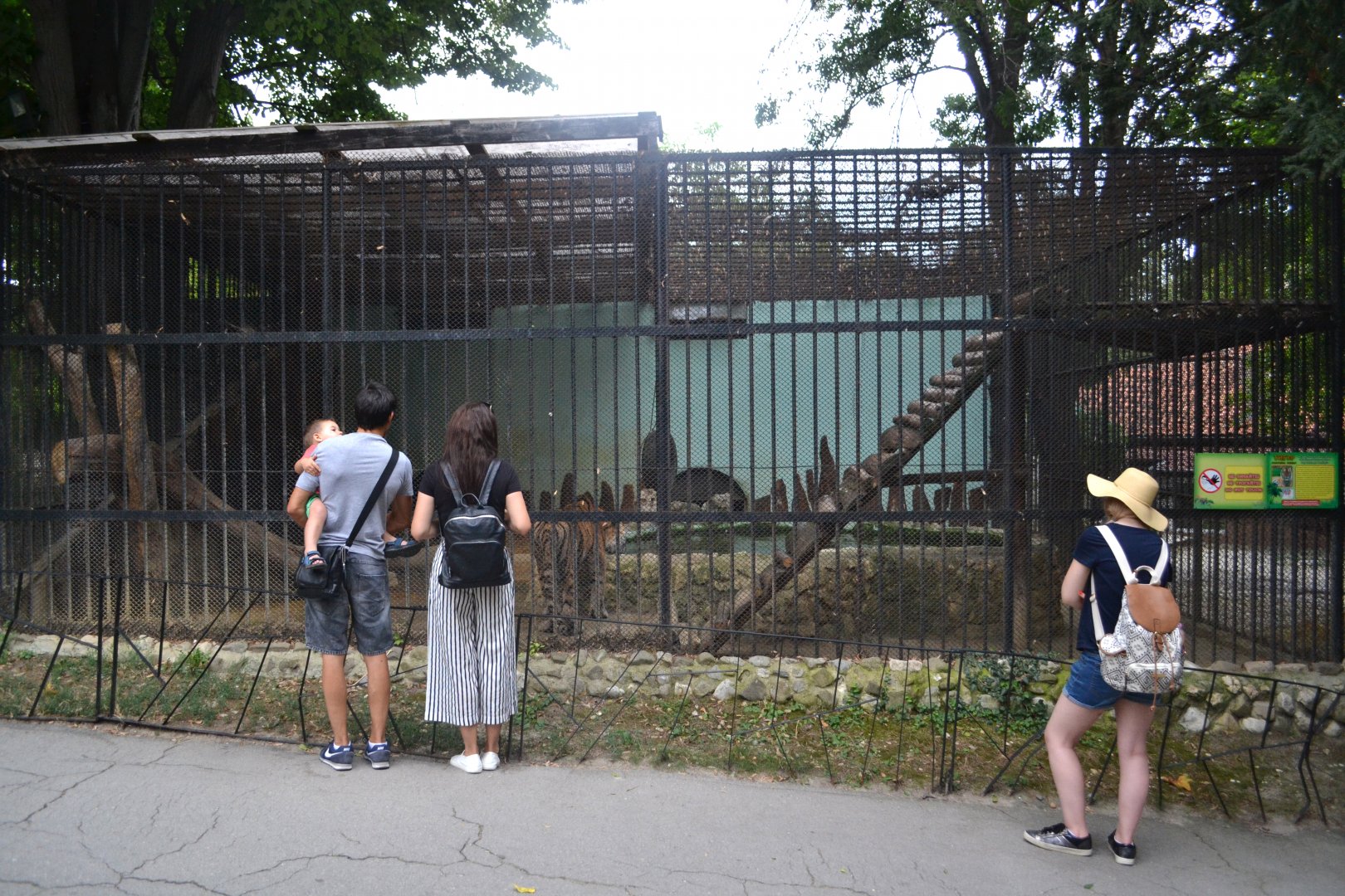 Siberian tiger cage