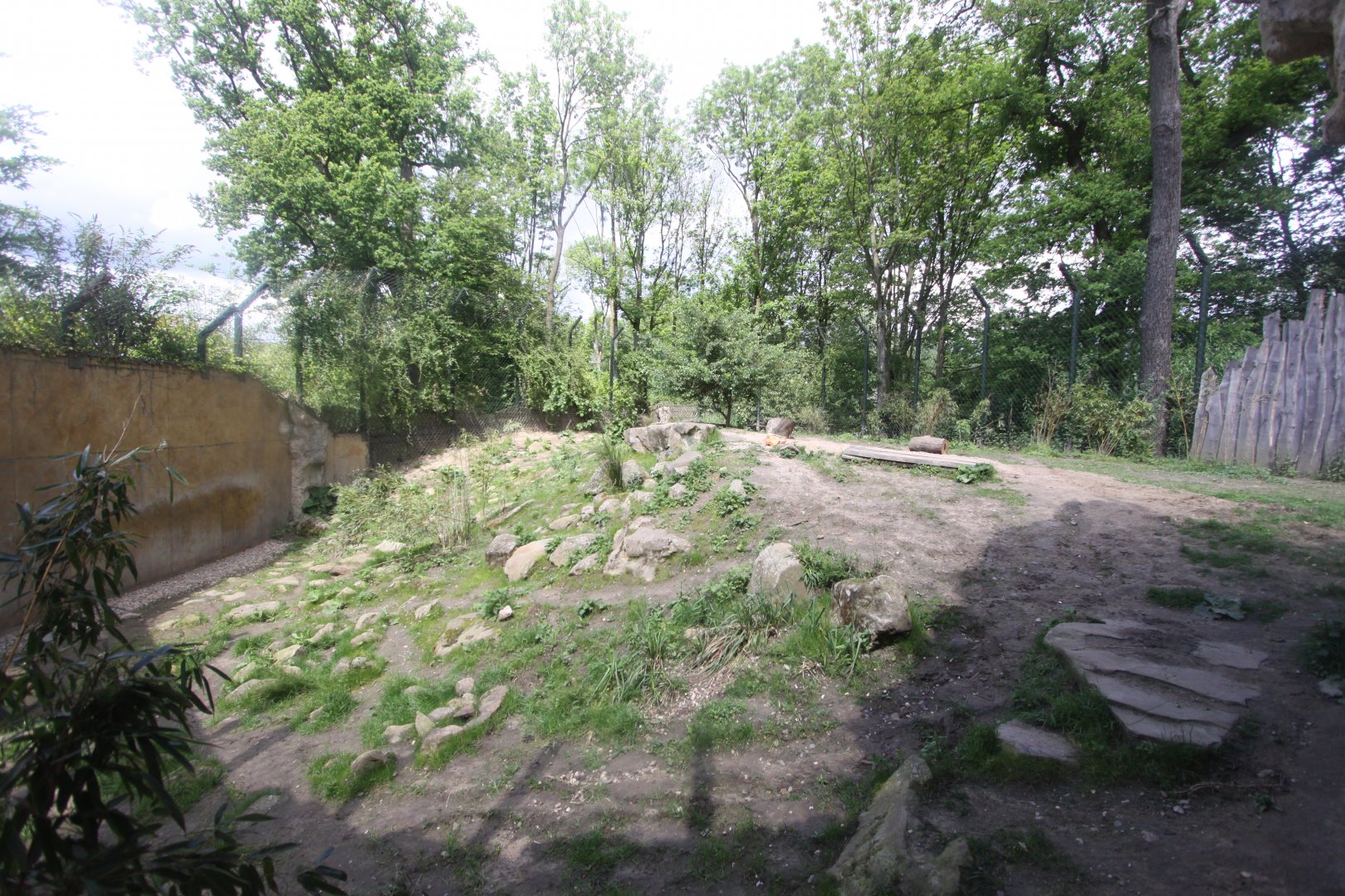 Siberian tiger enclosure(1)
