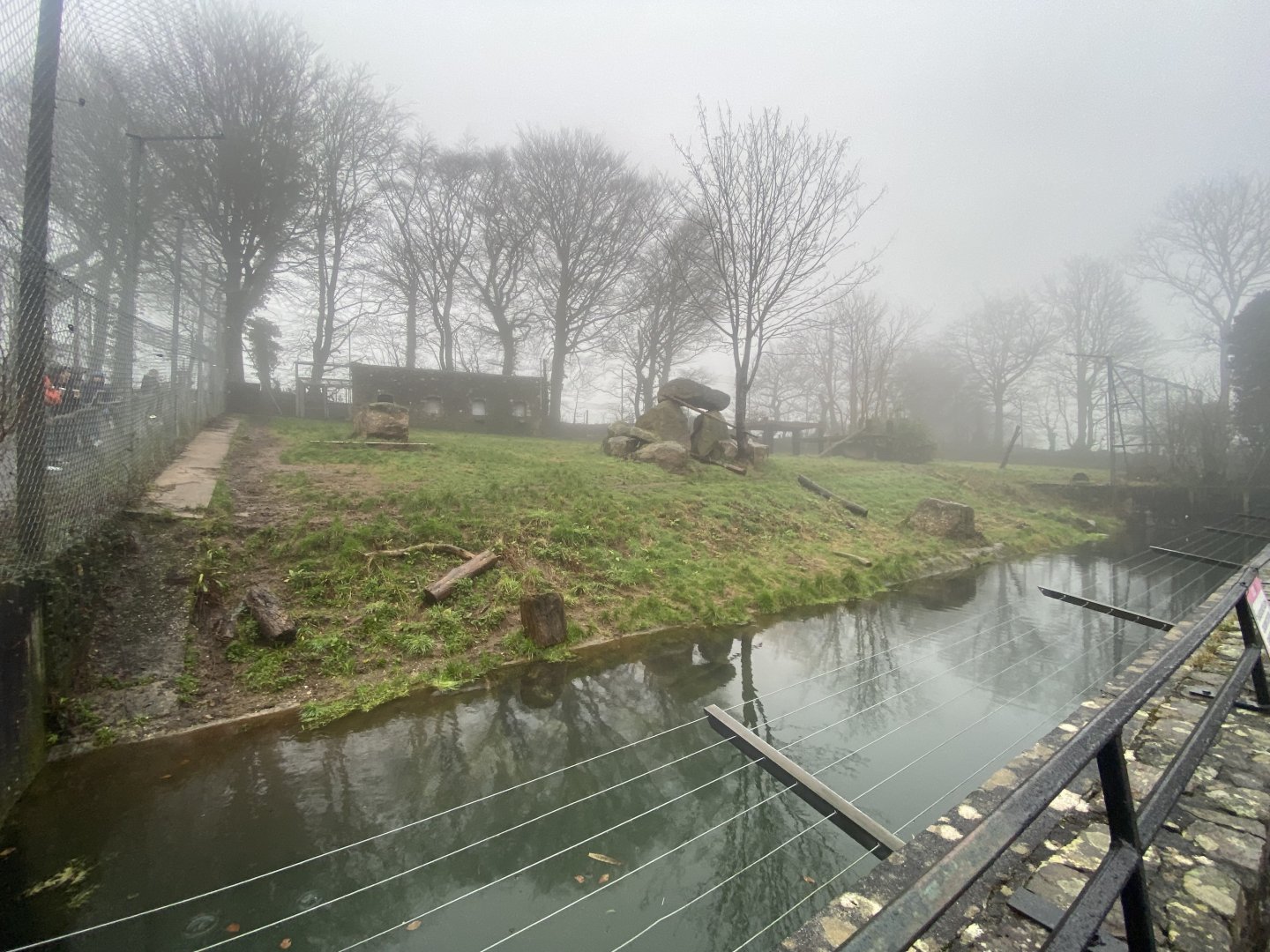 Siberian tiger enclosure 140224