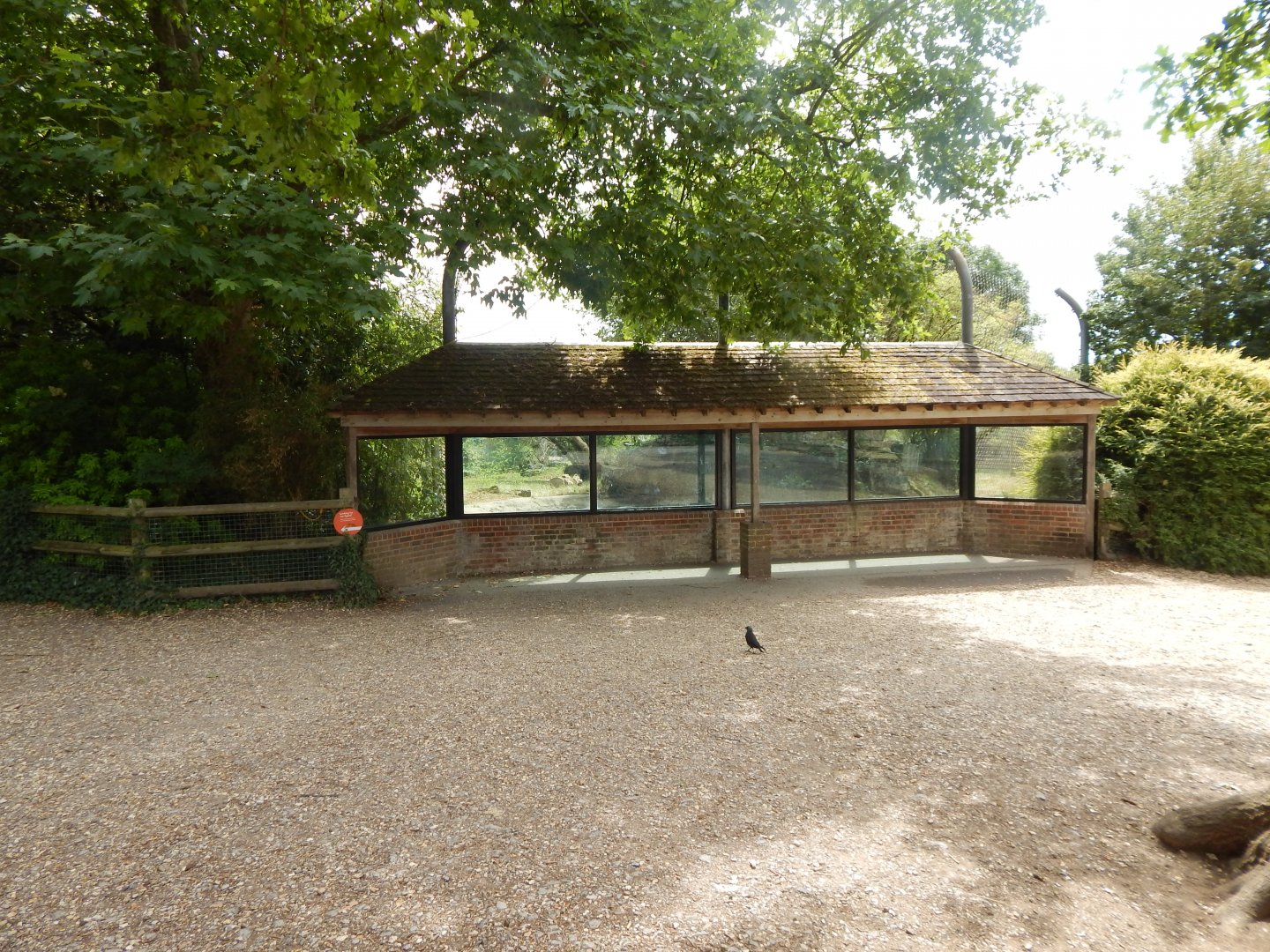 Siberian tiger enclosure 150725