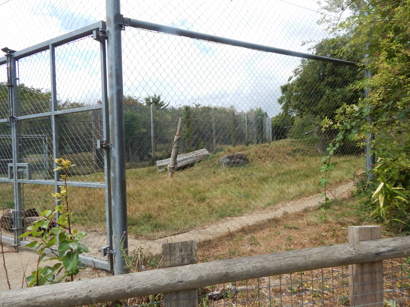 Siberian tiger enclosure 150725