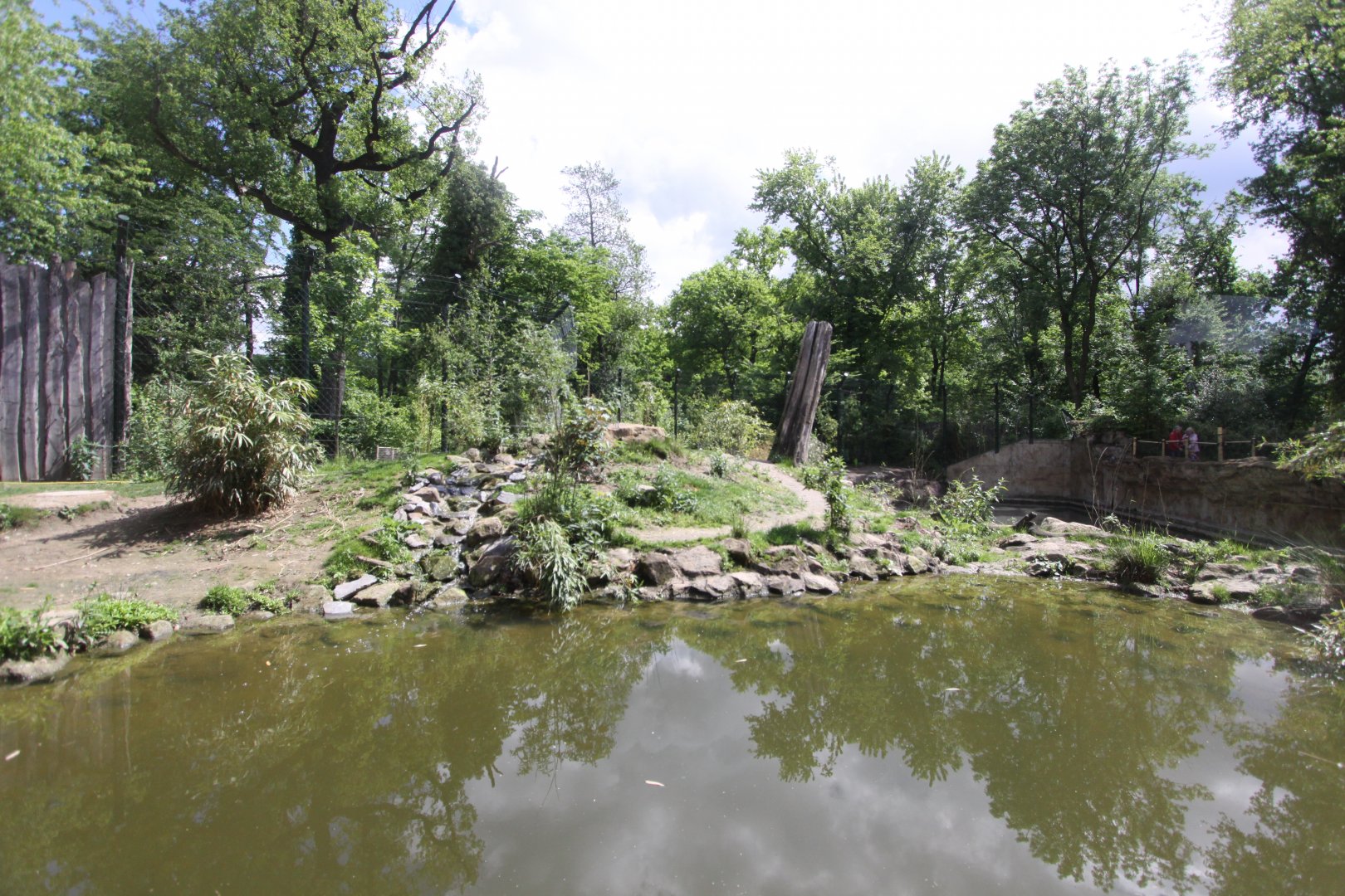 Siberian tiger enclosure(2)