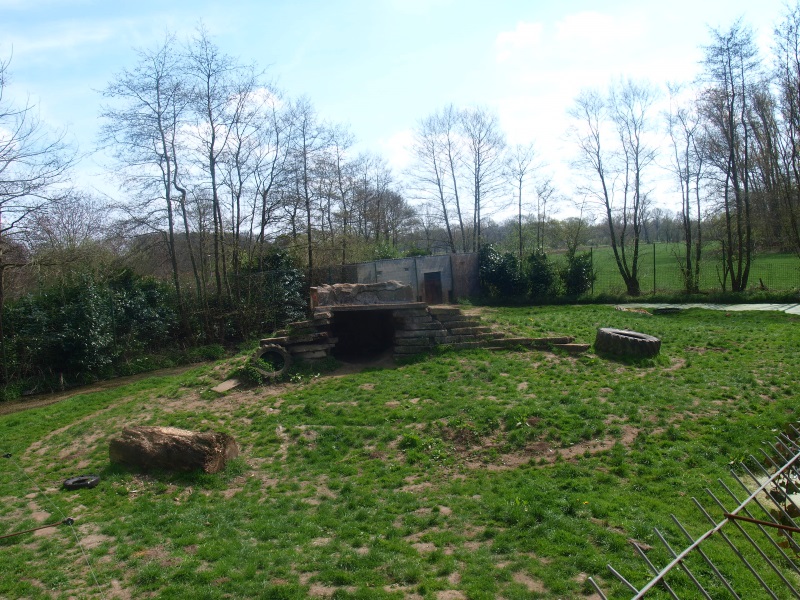 Siberian tiger enclosure (April 19th, 2015)