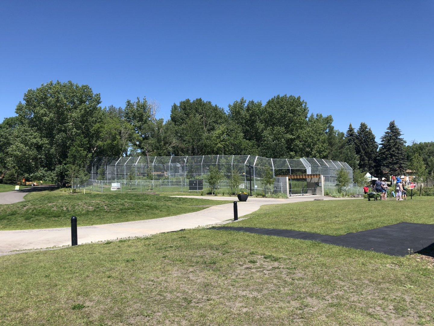 Siberian Tiger Enclosure at Edmonton Valley Zoo (July 2022)