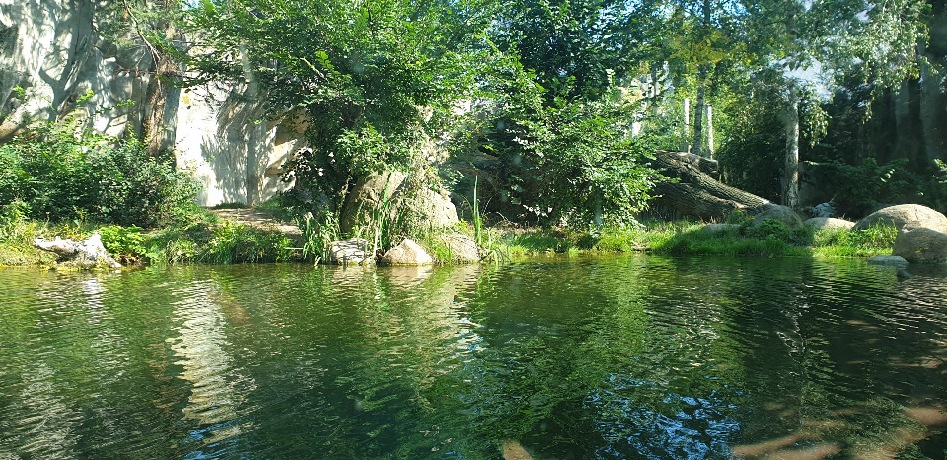 Siberian tiger enclosure, Tiger Taiga