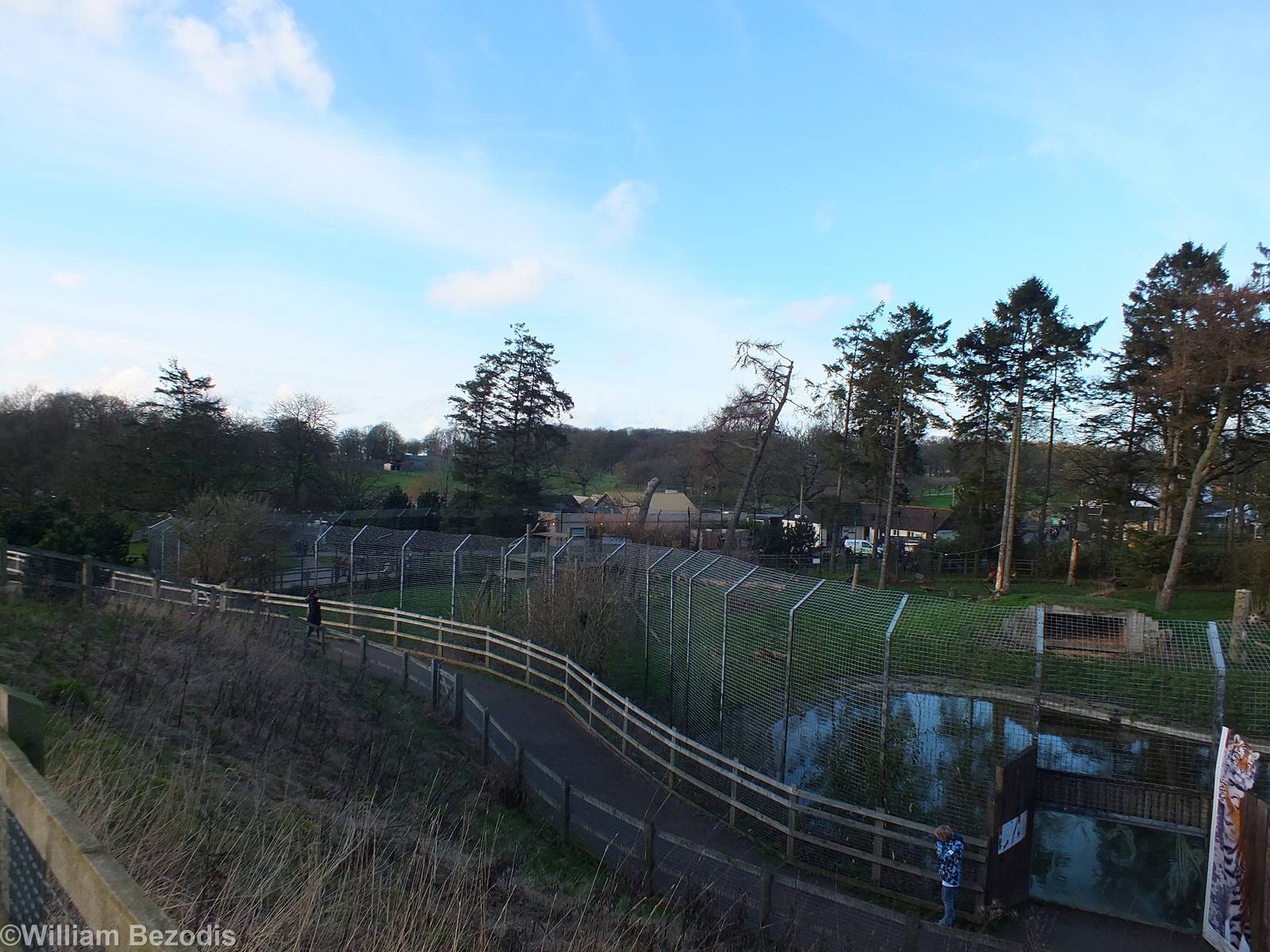 Siberian Tiger Enclosure