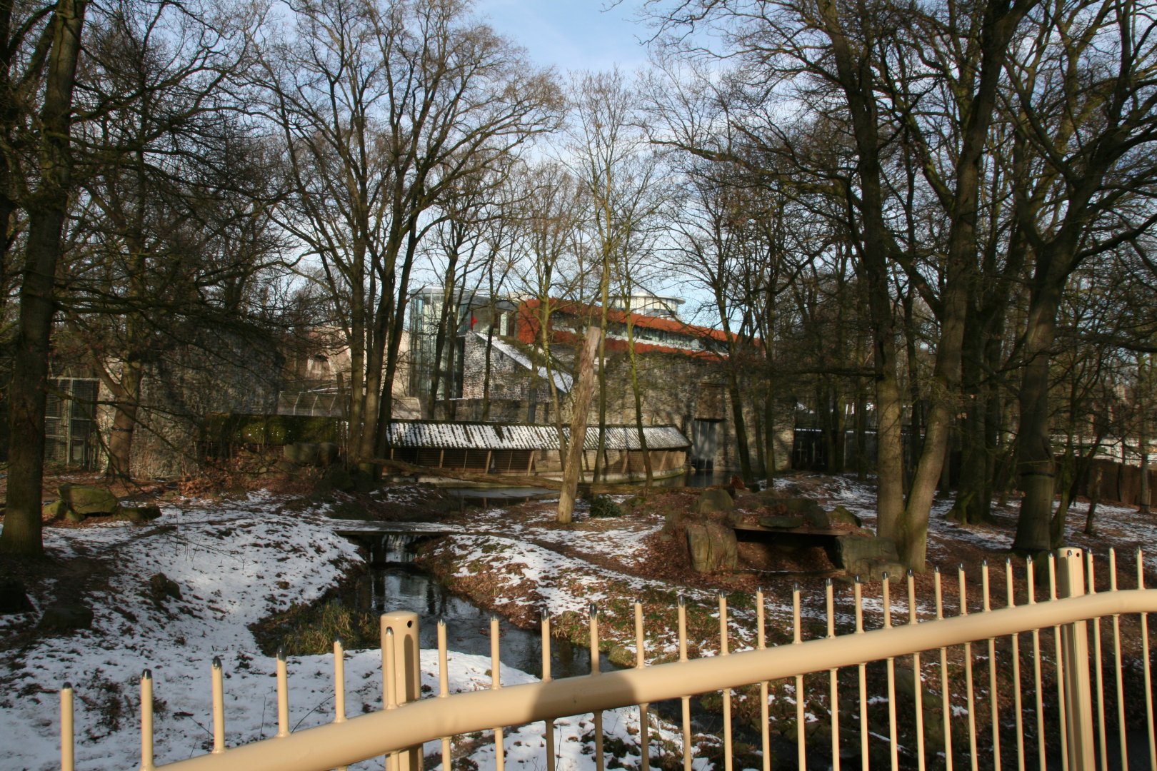 Siberian tiger enclosure