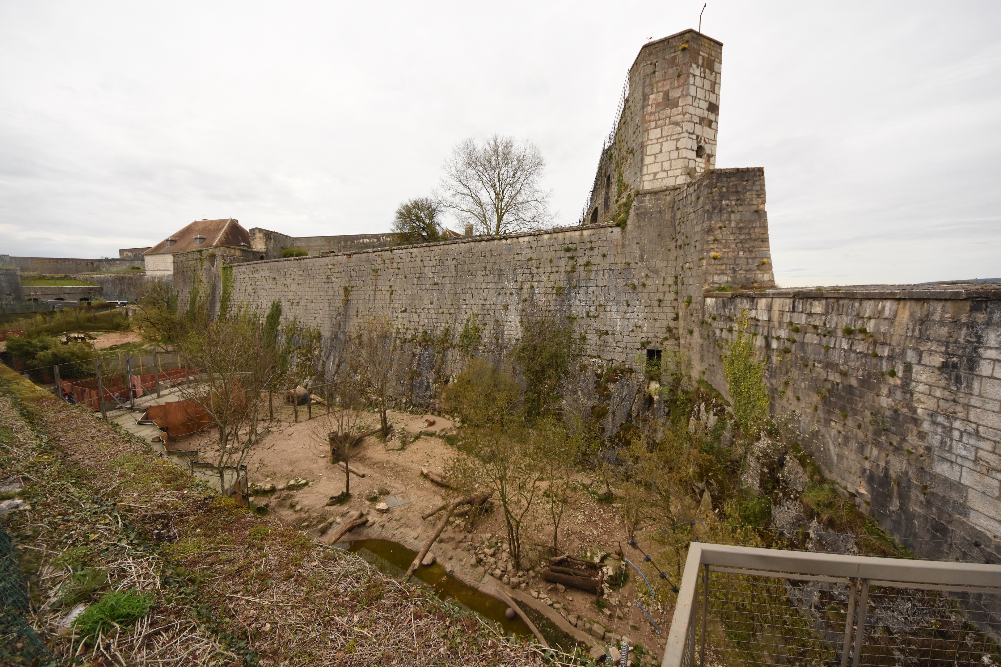 Siberian tiger enclosure