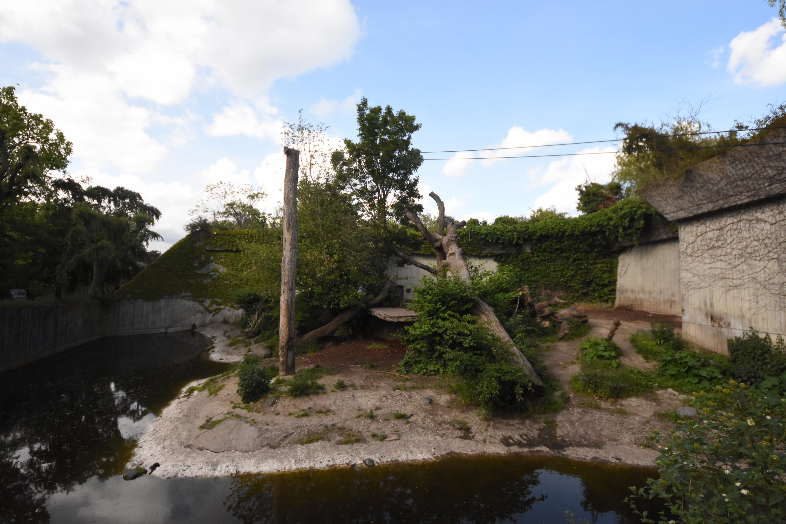 Siberian tiger enclosure