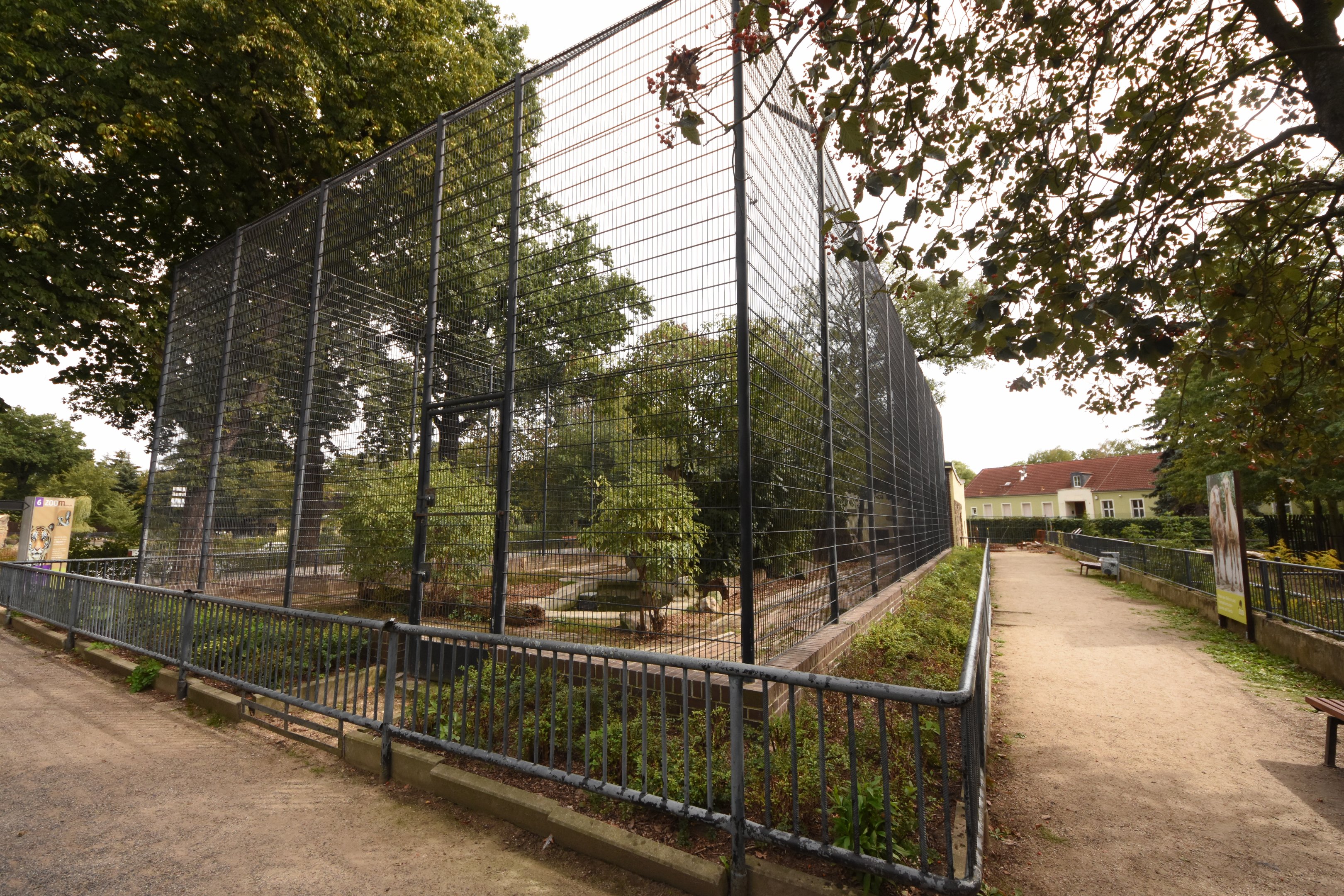 Siberian tiger enclosure