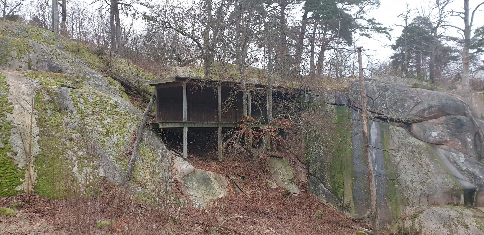 Siberian tiger enclosure
