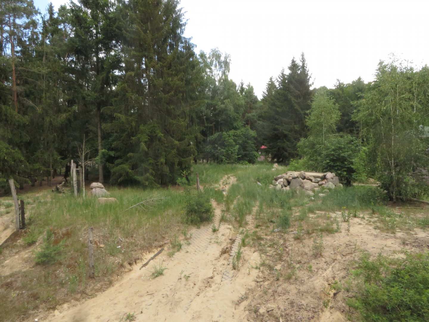 Siberian tiger enclosure